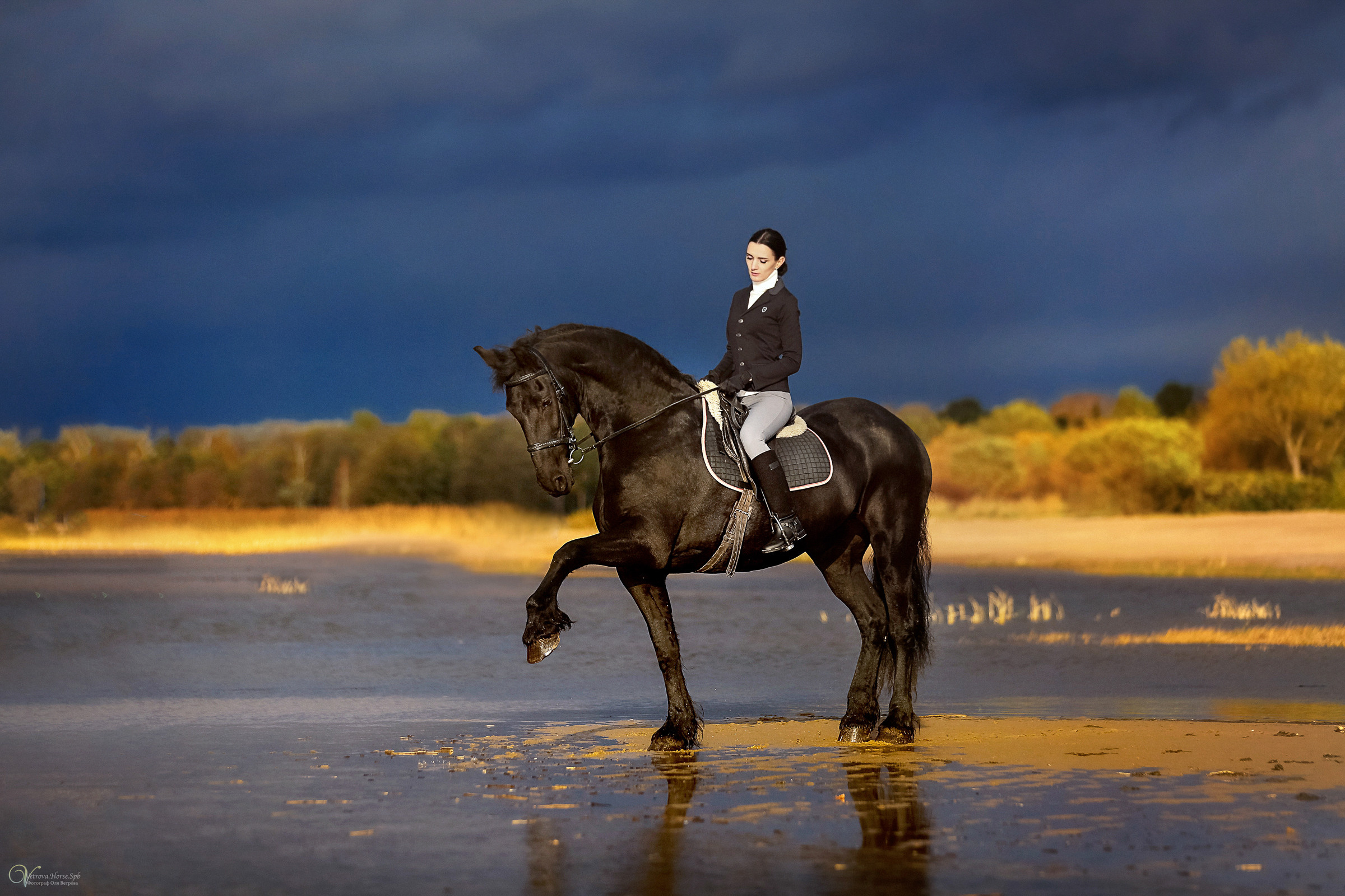 Осенняя съемка с лошадью В СПБ. Фотограф женский и мужской портрет Санкт-Петербург