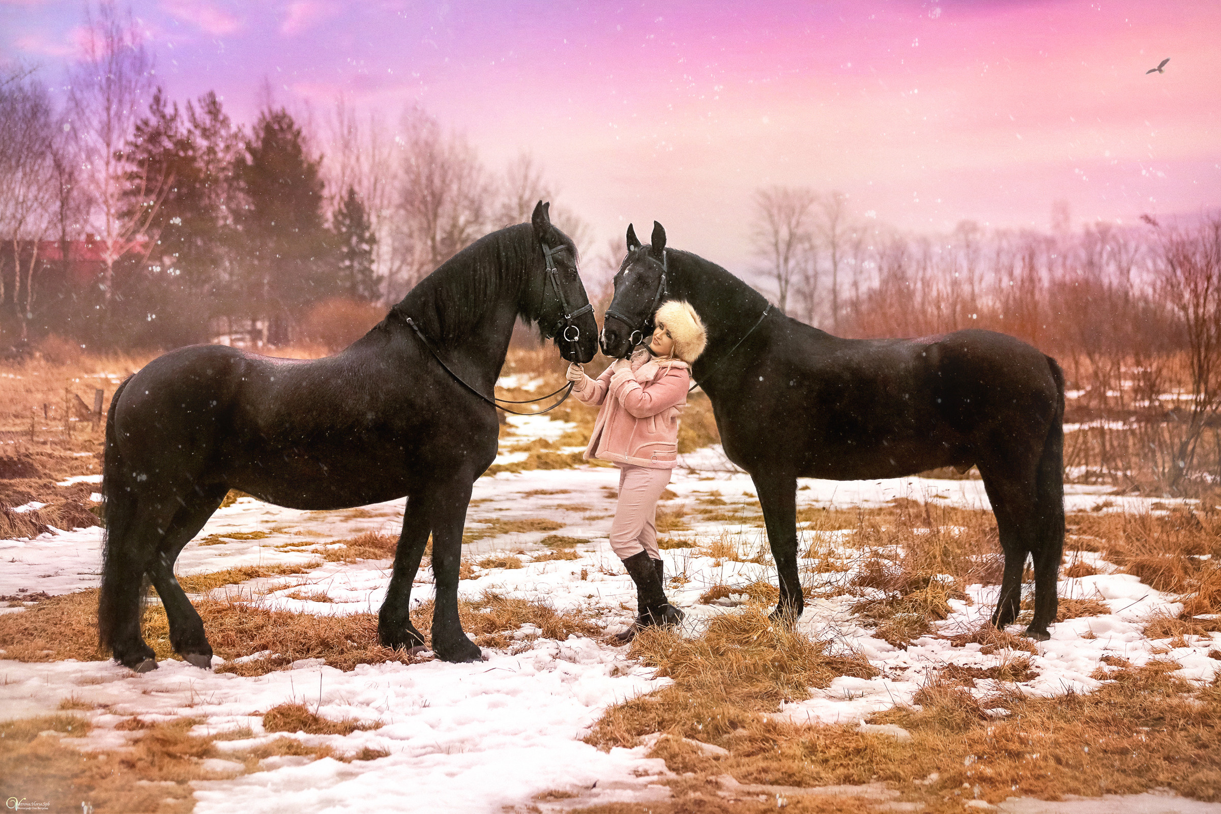 Зимняя фотосессия с двумя лошадьми. Фотограф женский и мужской портрет Санкт-Петербург