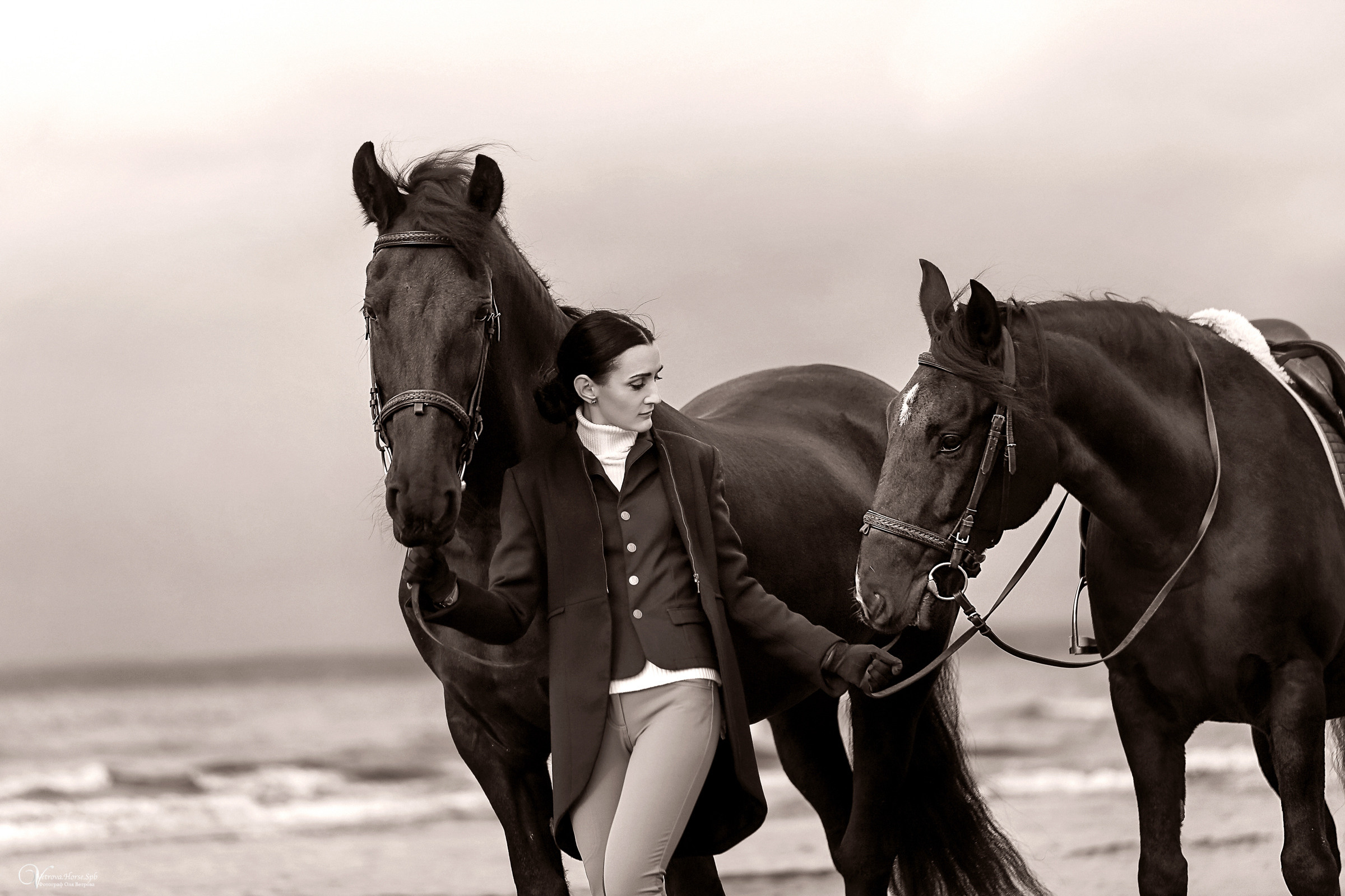 Два коня на заливе. Фотограф женский и мужской портрет Санкт-Петербург