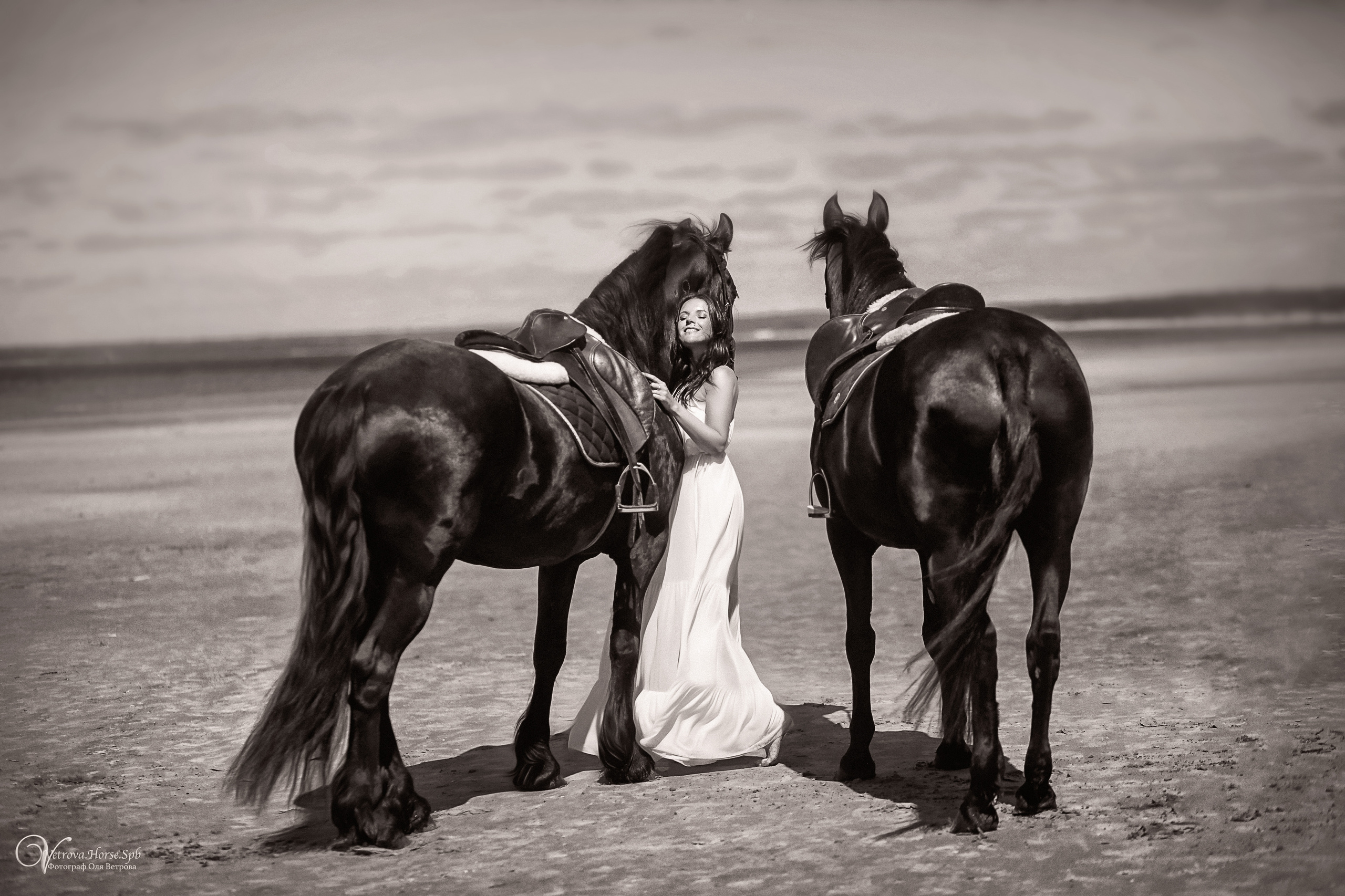 Фотосессия  с двумя конями в Санкт-Петербурге. Фотограф женский и мужской портрет Санкт-Петербург