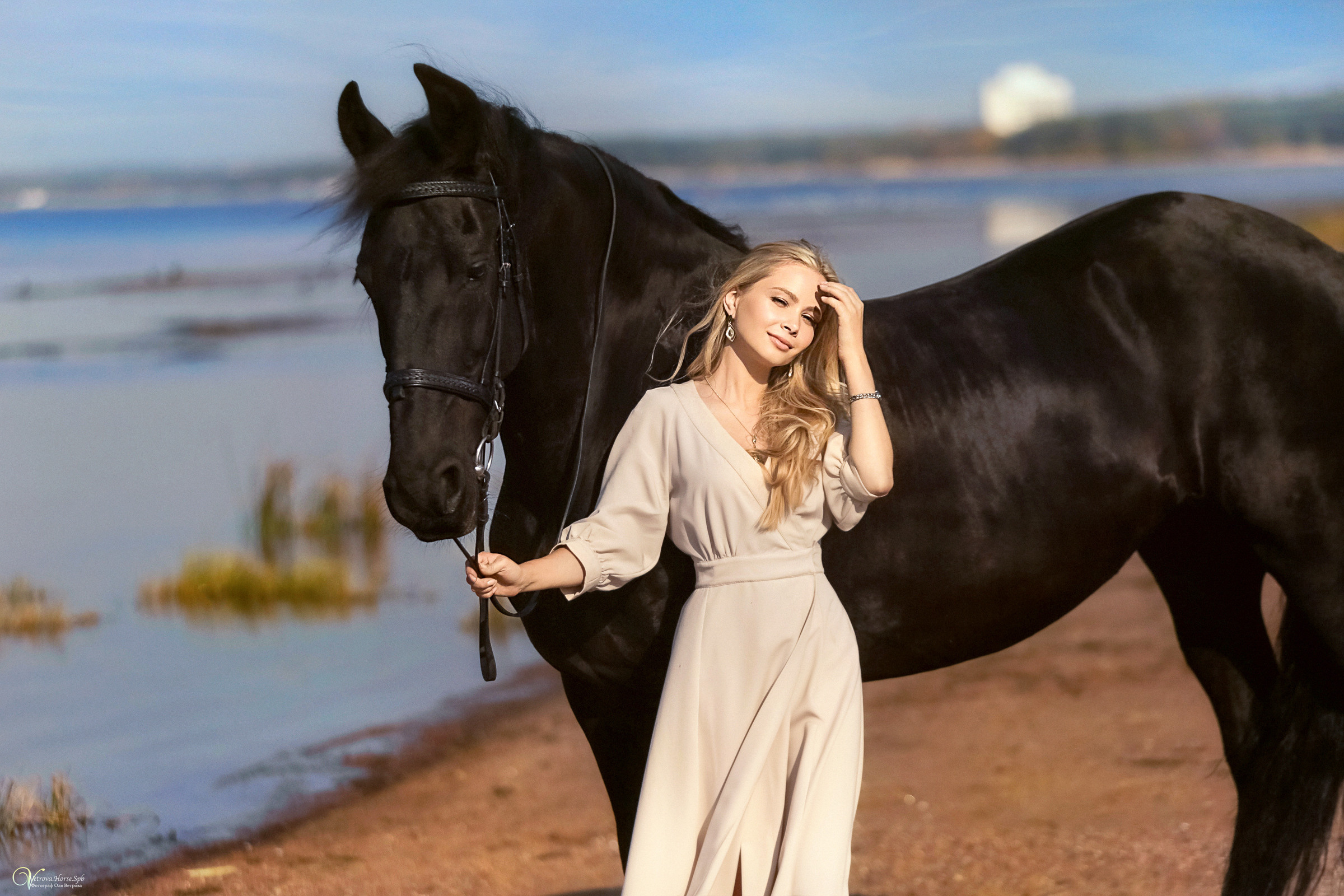 Фотосессия с вороным конем в СПб. Фотограф женский и мужской портрет Санкт-Петербург