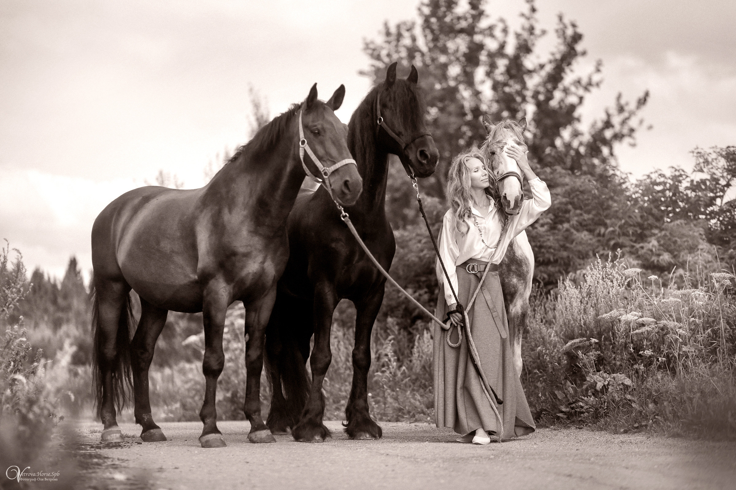 Съемка с тремя лошадьми в поле. Фотограф женский и мужской портрет Санкт-Петербург
