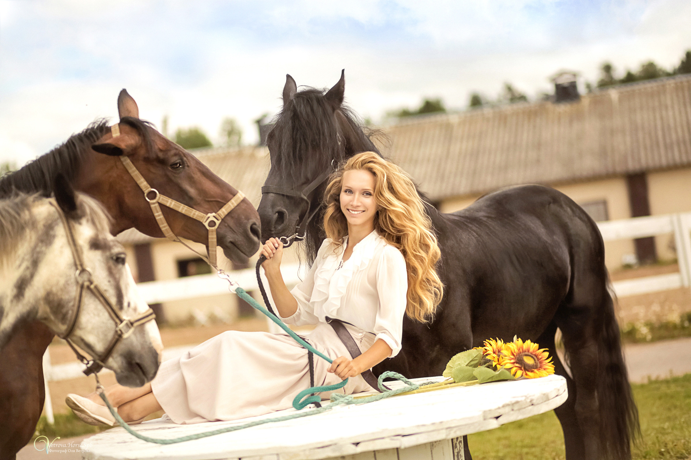 Фотосессия девушка и табун лошадей. Фотограф женский и мужской портрет Санкт-Петербург