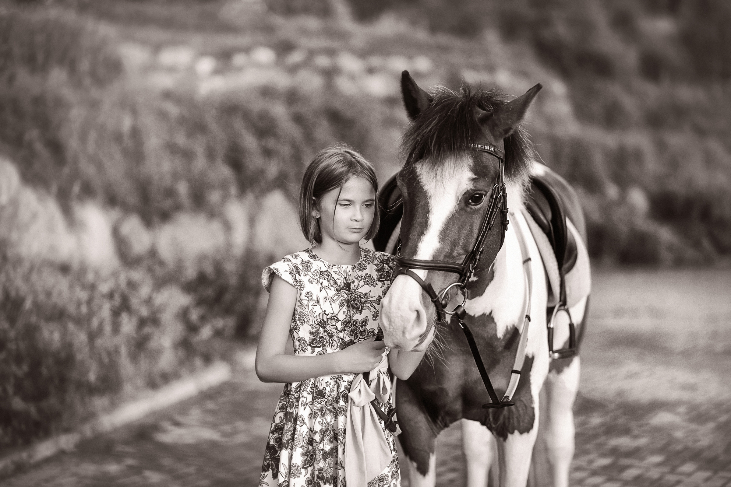 Фотосессия в конном клубе Вента-Арена. Фотограф женский и мужской портрет Санкт-Петербург