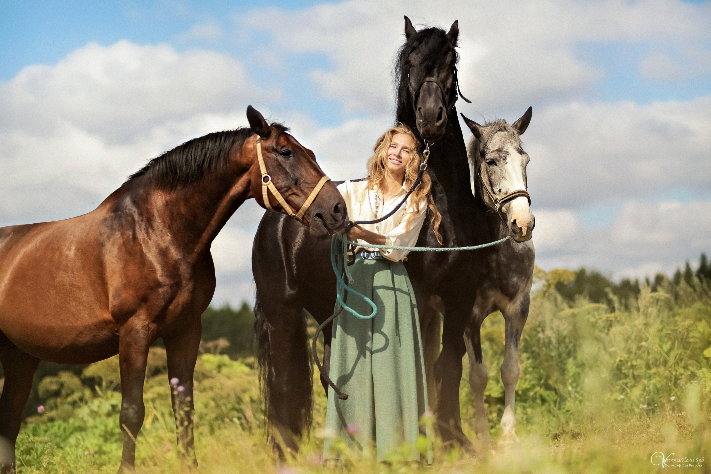 Съемка с тремя лошадьми в поле. Фотограф женский и мужской портрет Санкт-Петербург