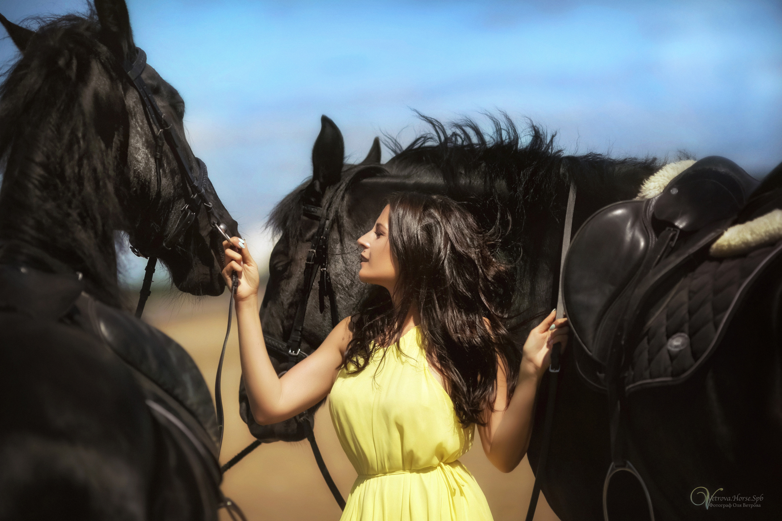 Фотосессия  с двумя конями в Санкт-Петербурге. Фотограф женский и мужской портрет Санкт-Петербург