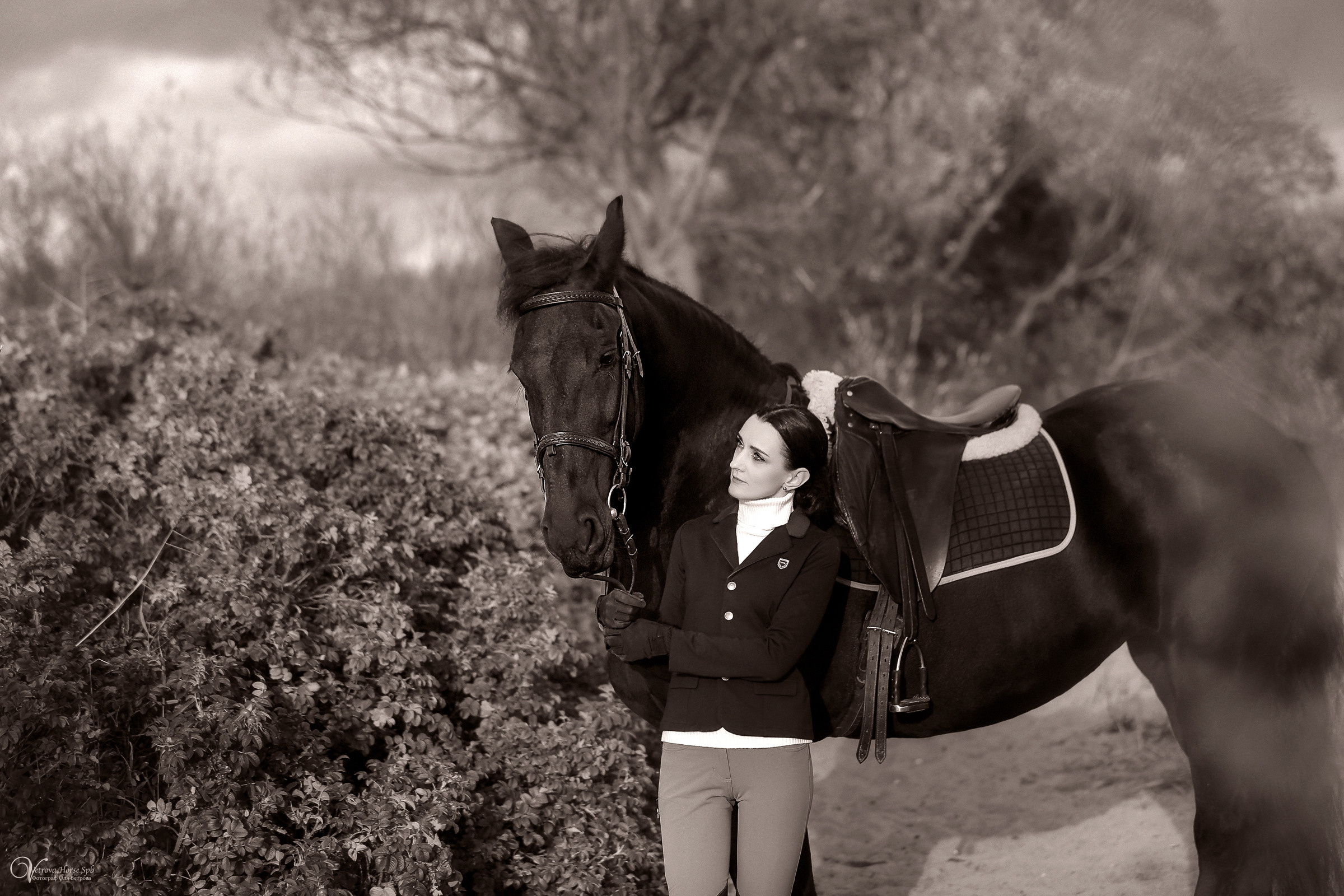 Осенняя съемка с лошадью В СПБ. Фотограф женский и мужской портрет Санкт-Петербург