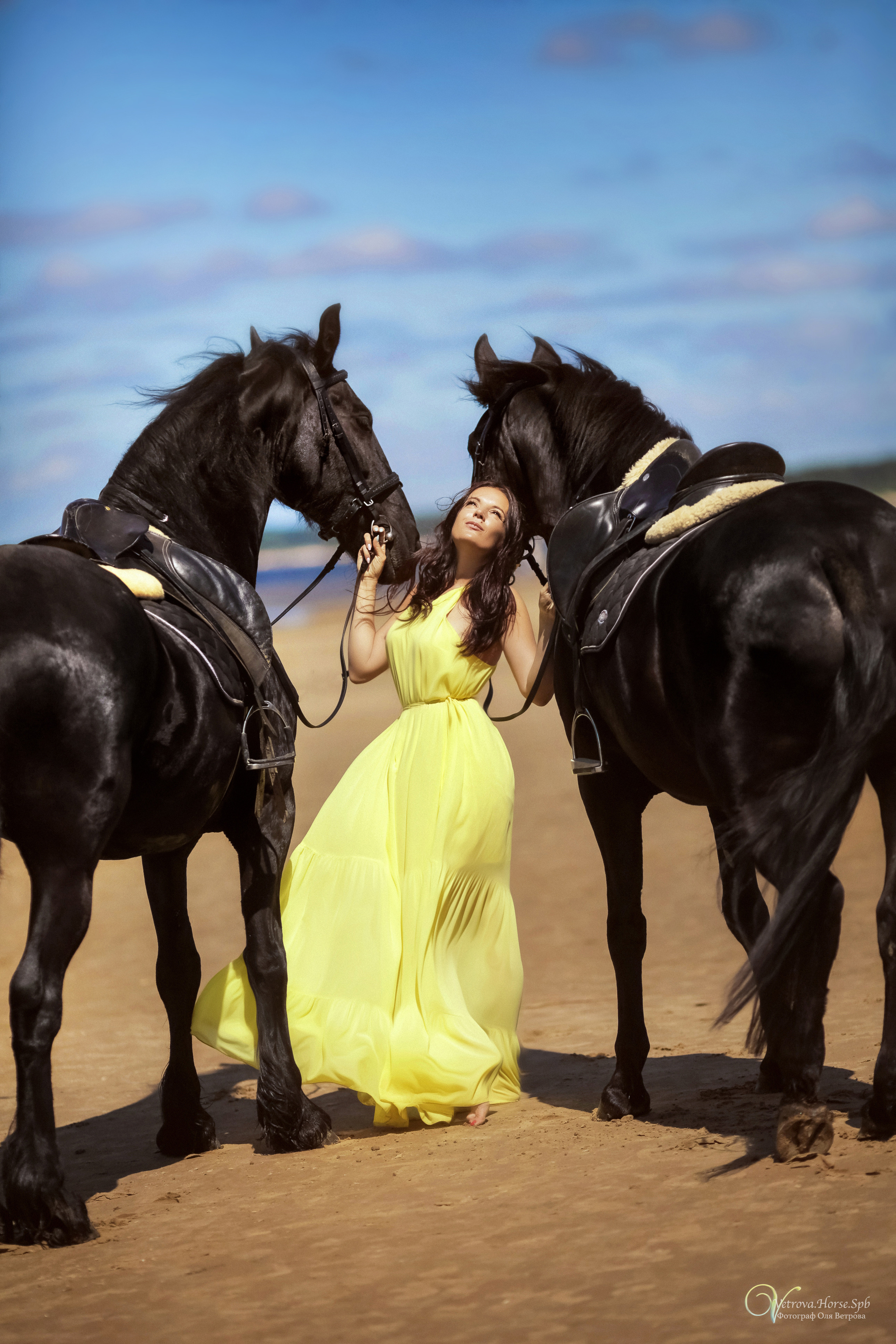 Фотосессия  с двумя конями в Санкт-Петербурге. Фотограф женский и мужской портрет Санкт-Петербург