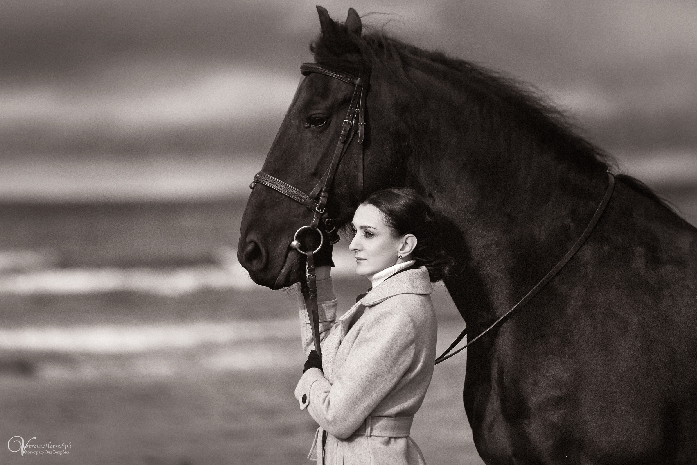 Залив  и лошади. Фотограф женский и мужской портрет Санкт-Петербург