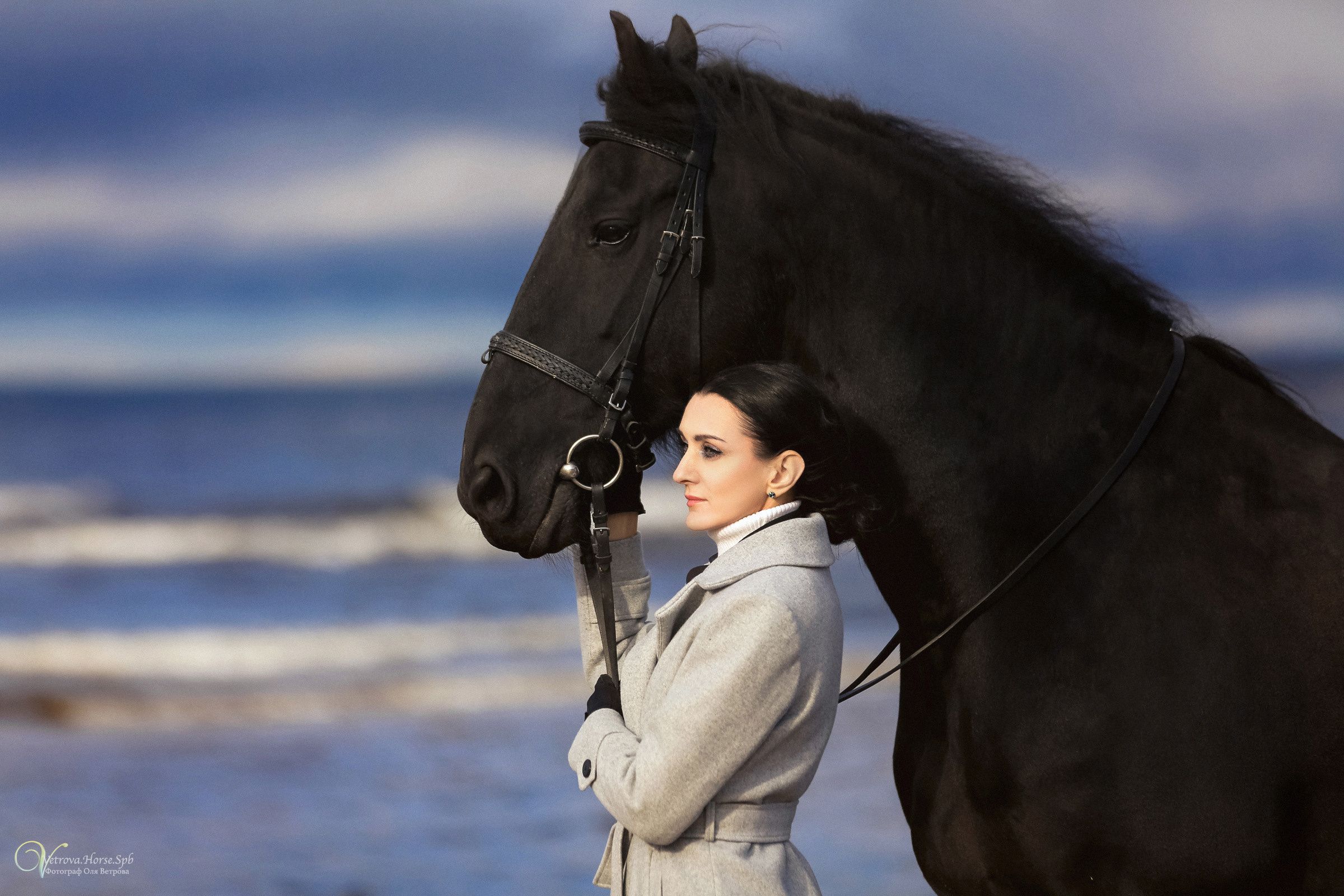 Залив  и лошади. Фотограф женский и мужской портрет Санкт-Петербург