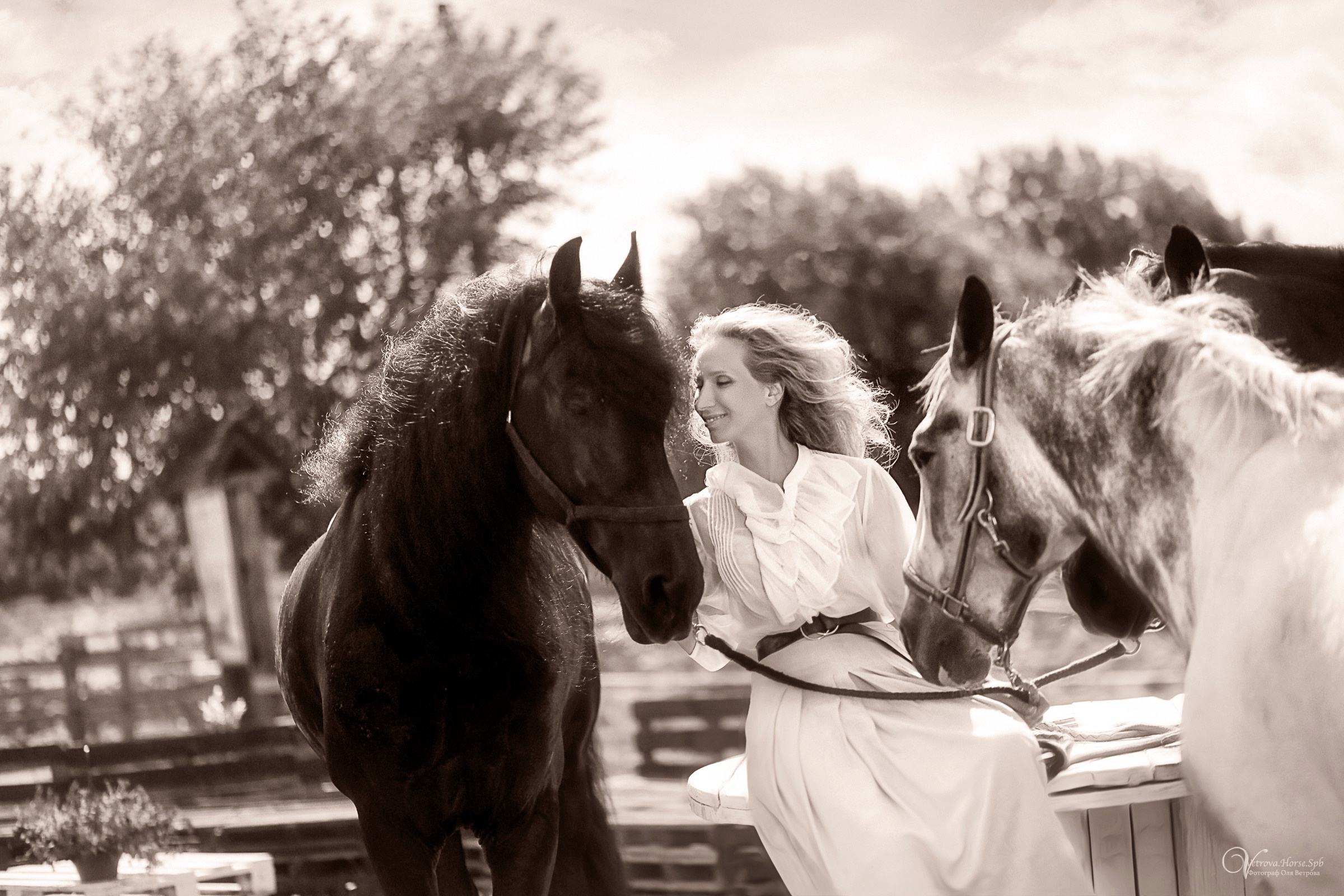 Фотосессия девушка и табун лошадей. Фотограф женский и мужской портрет Санкт-Петербург