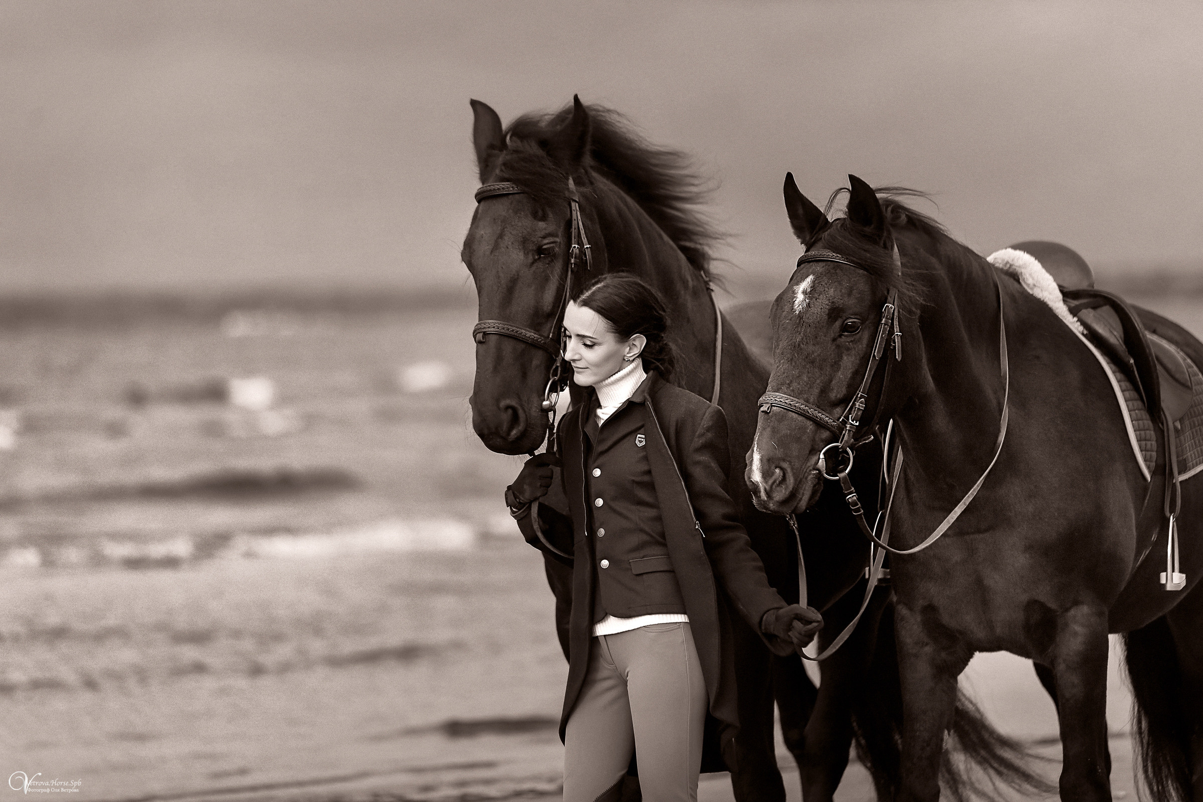 Два коня на заливе. Фотограф женский и мужской портрет Санкт-Петербург