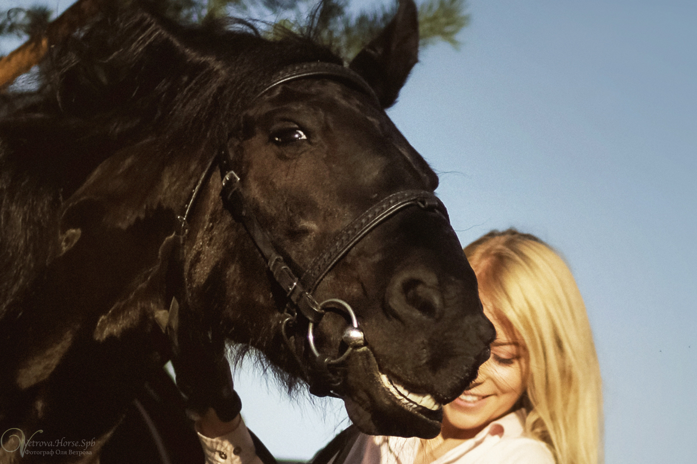 Съемка с лошадью на водопаде. Фотограф женский и мужской портрет Санкт-Петербург