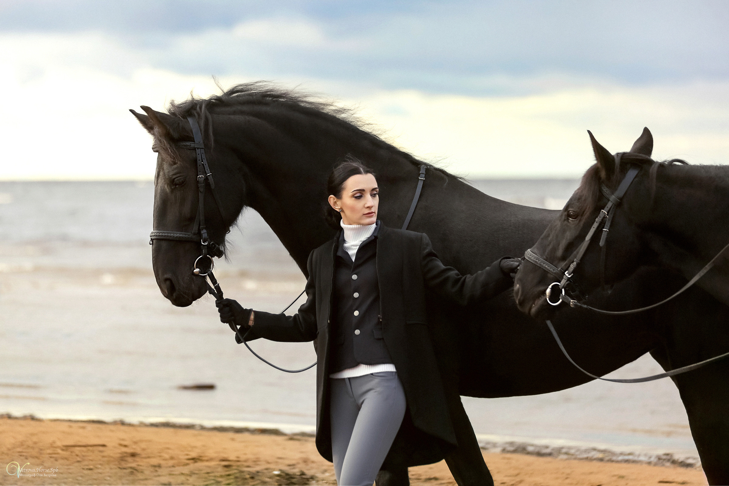 Два коня на заливе. Фотограф женский и мужской портрет Санкт-Петербург