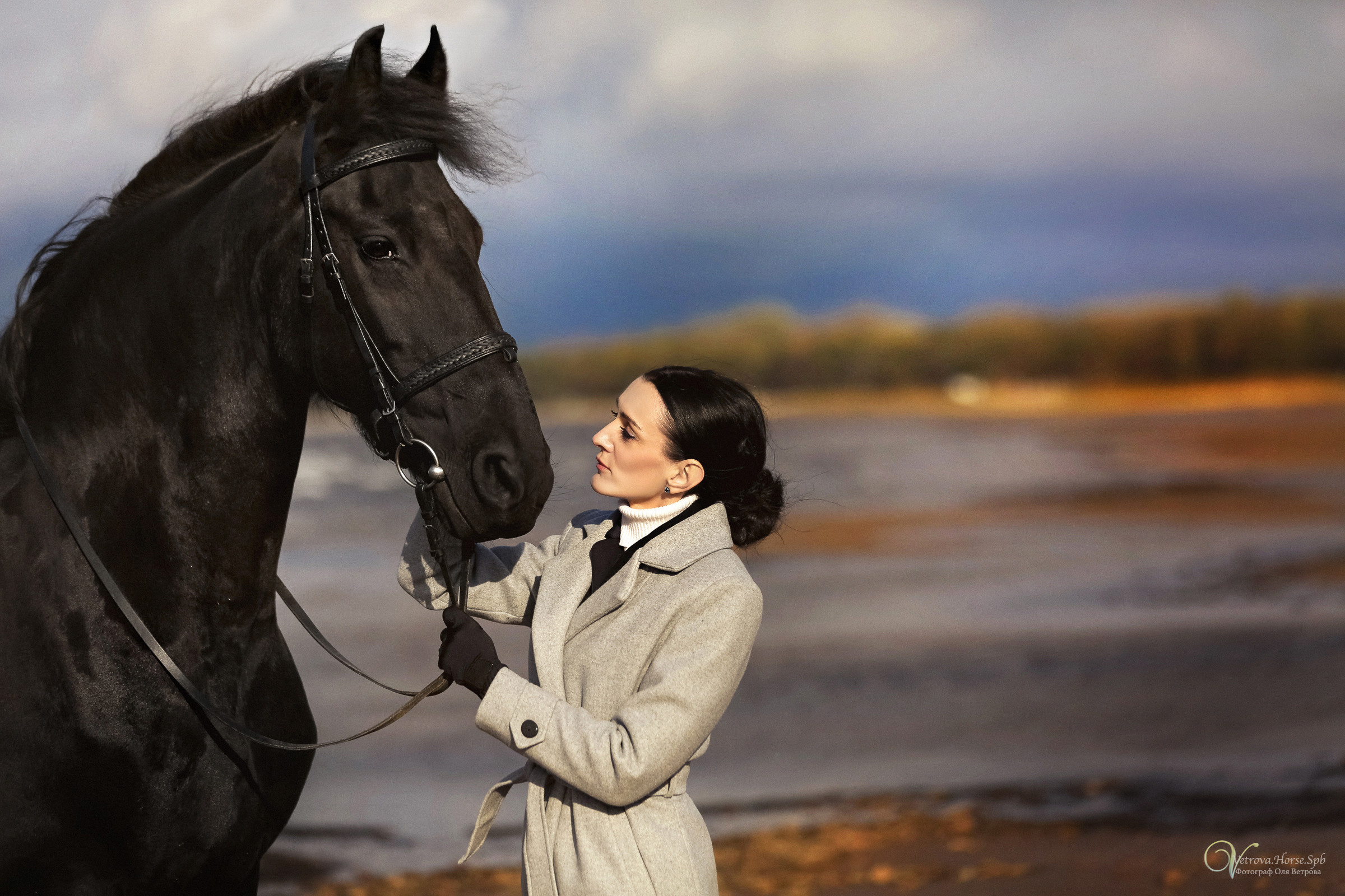 Залив  и лошади. Фотограф женский и мужской портрет Санкт-Петербург