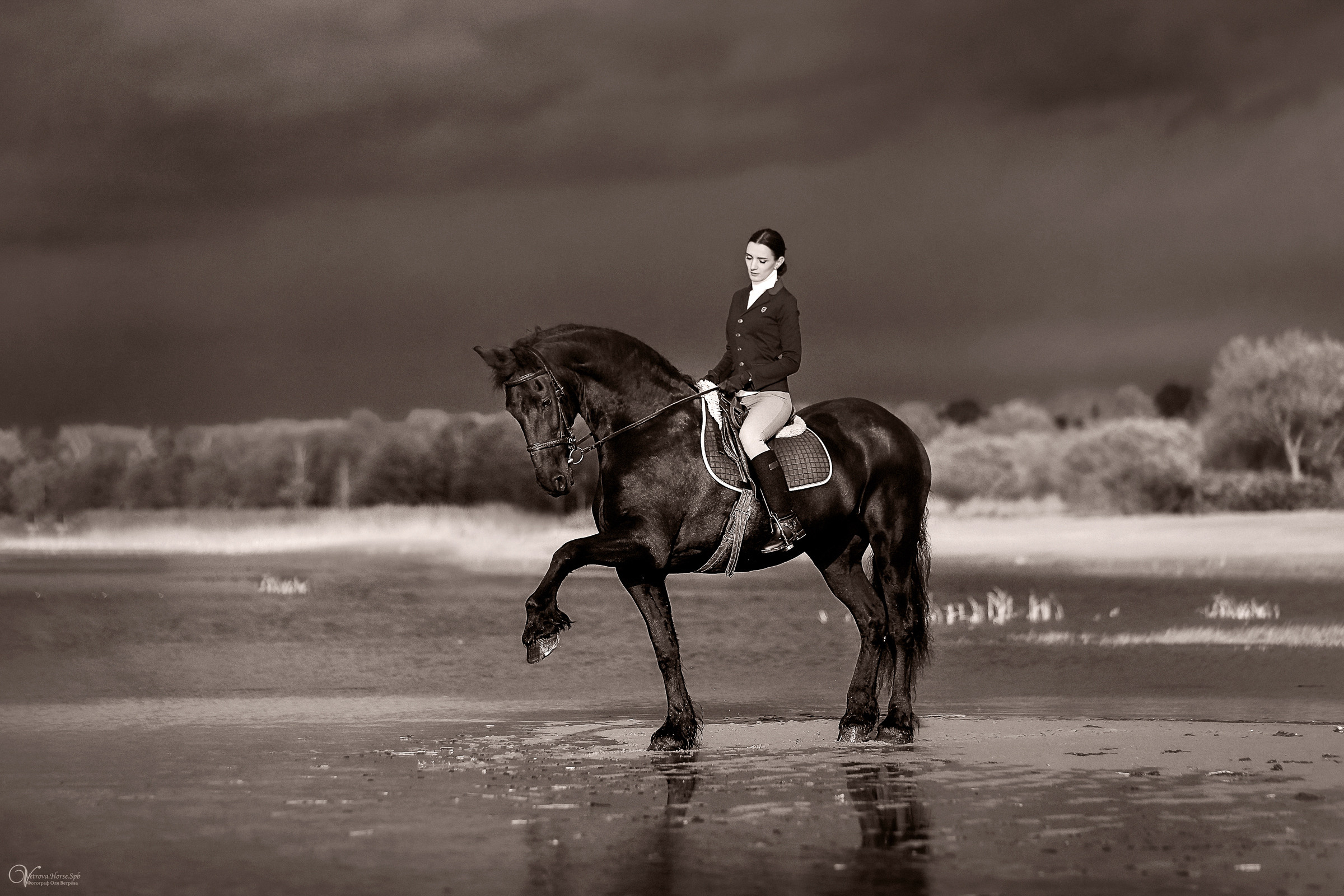 Осенняя съемка с лошадью В СПБ. Фотограф женский и мужской портрет Санкт-Петербург