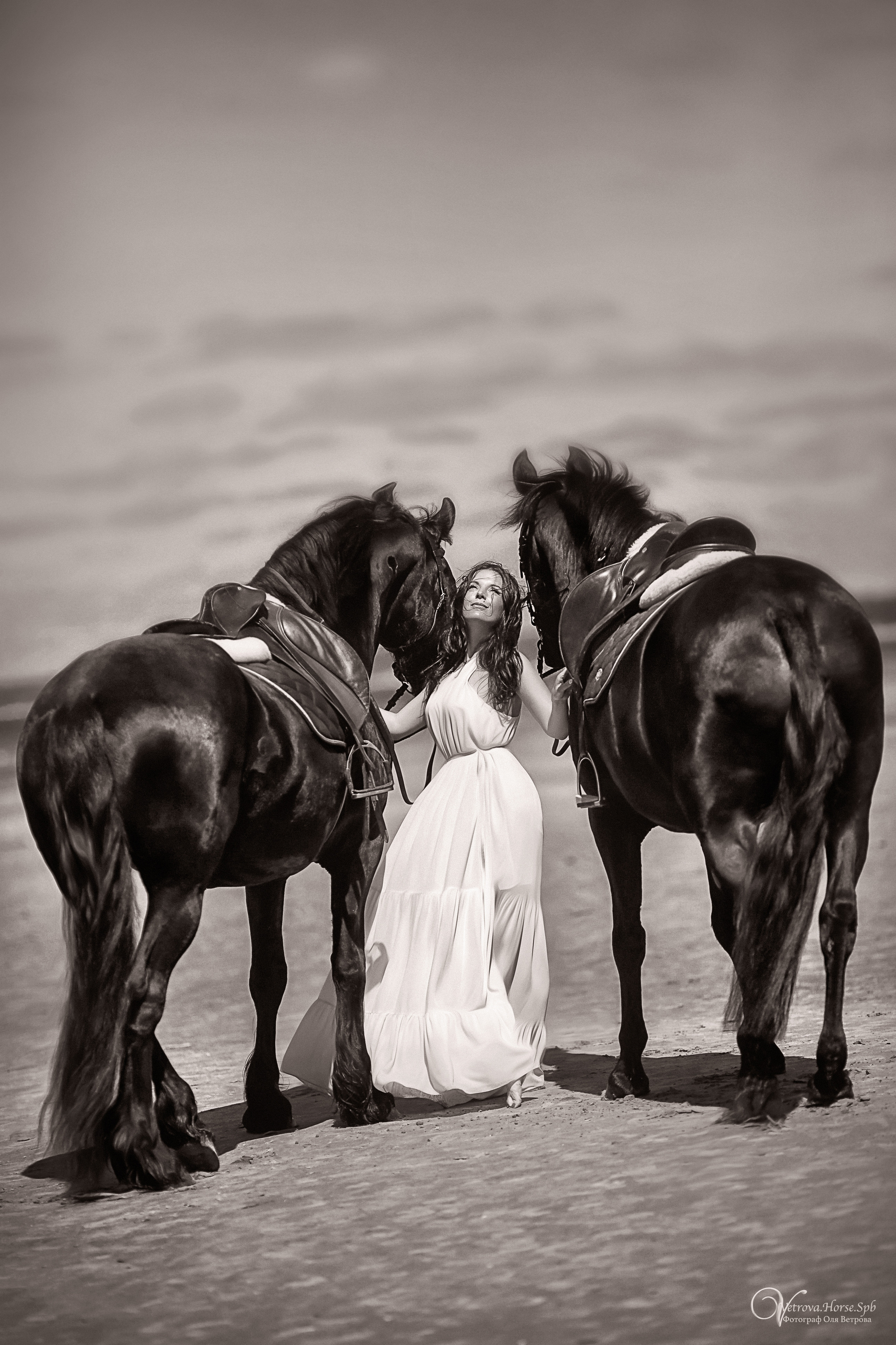Фотосессия  с двумя конями в Санкт-Петербурге. Фотограф женский и мужской портрет Санкт-Петербург