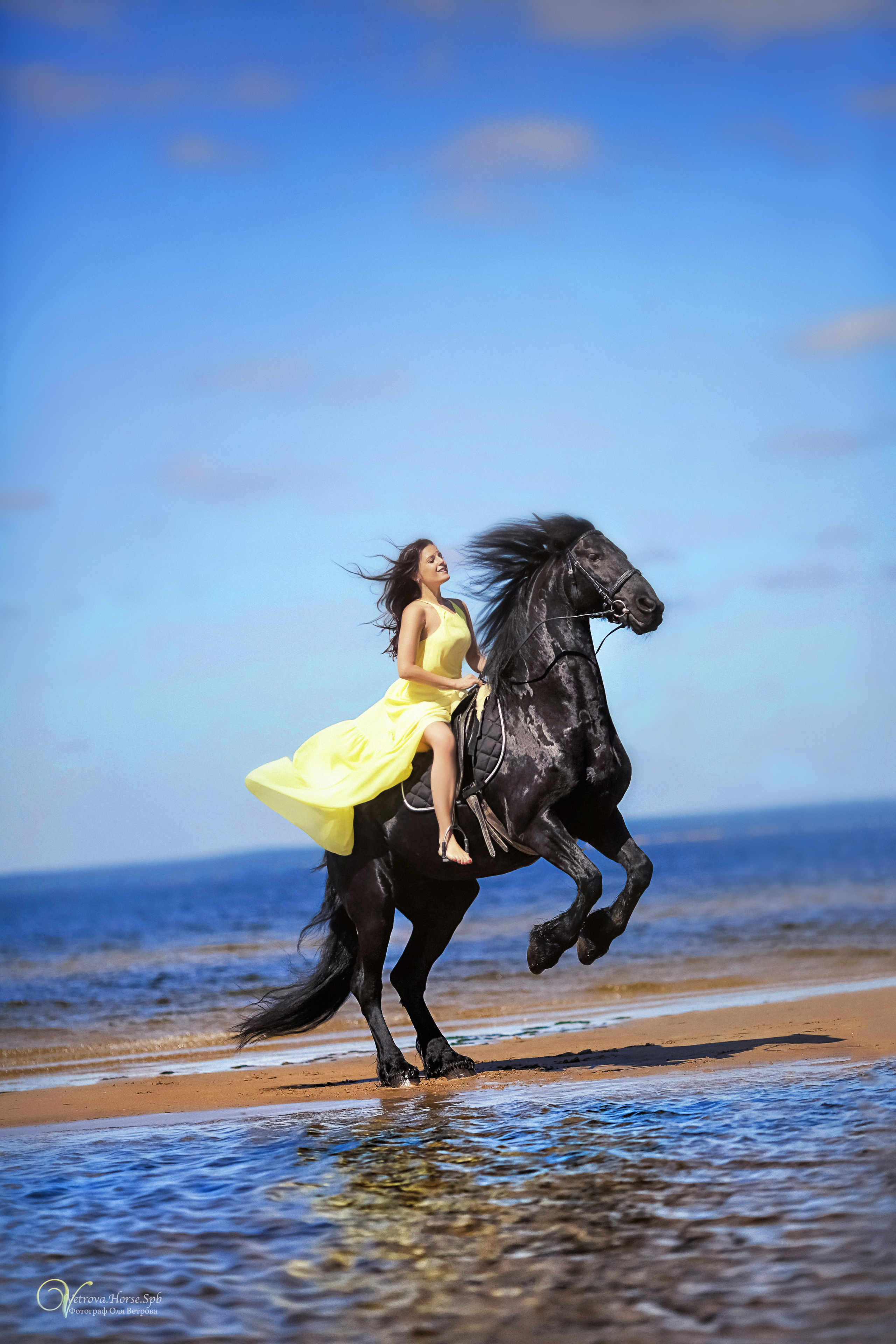 Фотосессия  с двумя конями в Санкт-Петербурге. Фотограф женский и мужской портрет Санкт-Петербург