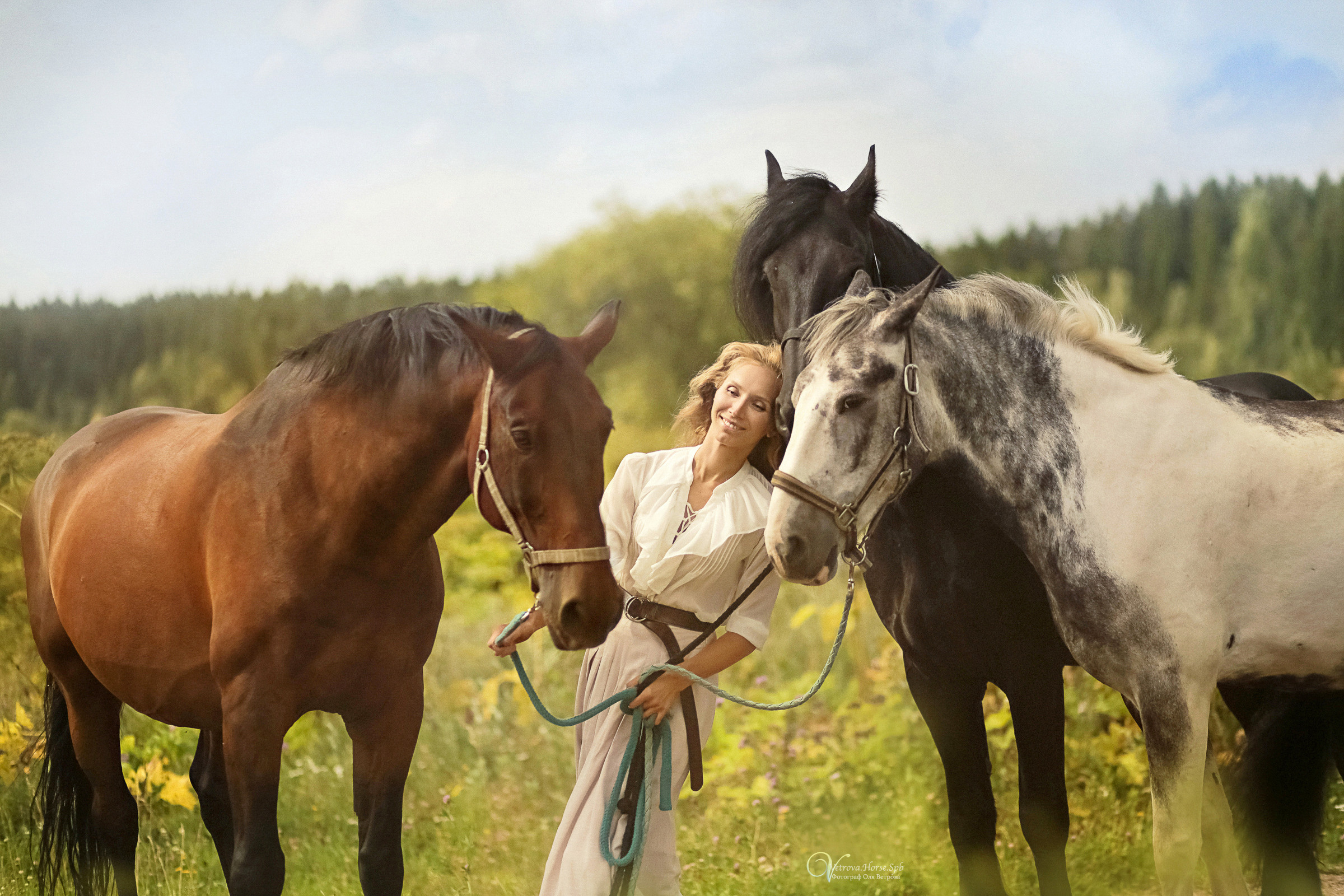 Съемка с тремя лошадьми в поле. Фотограф женский и мужской портрет Санкт-Петербург