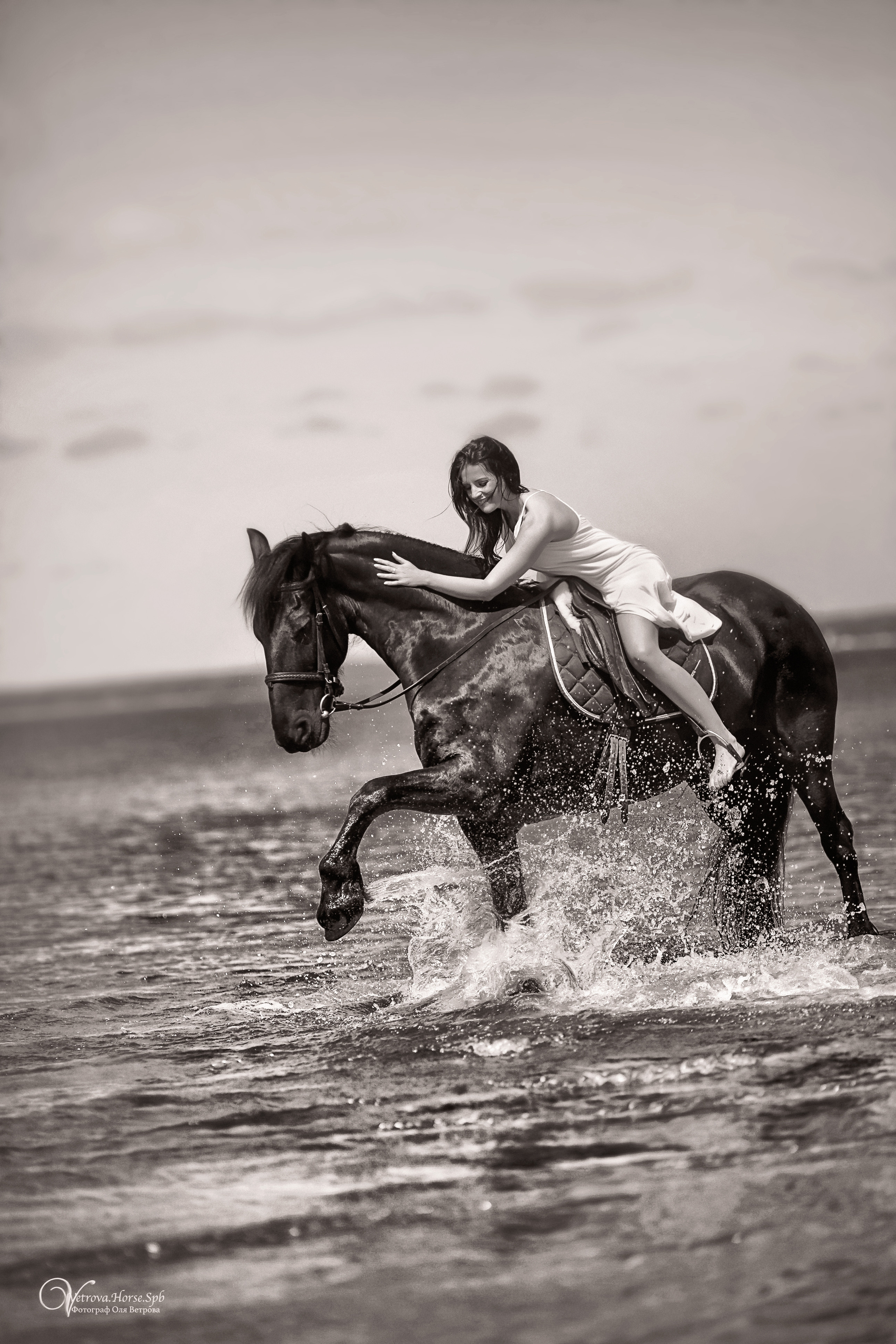 Фотосессия  с двумя конями в Санкт-Петербурге. Фотограф женский и мужской портрет Санкт-Петербург