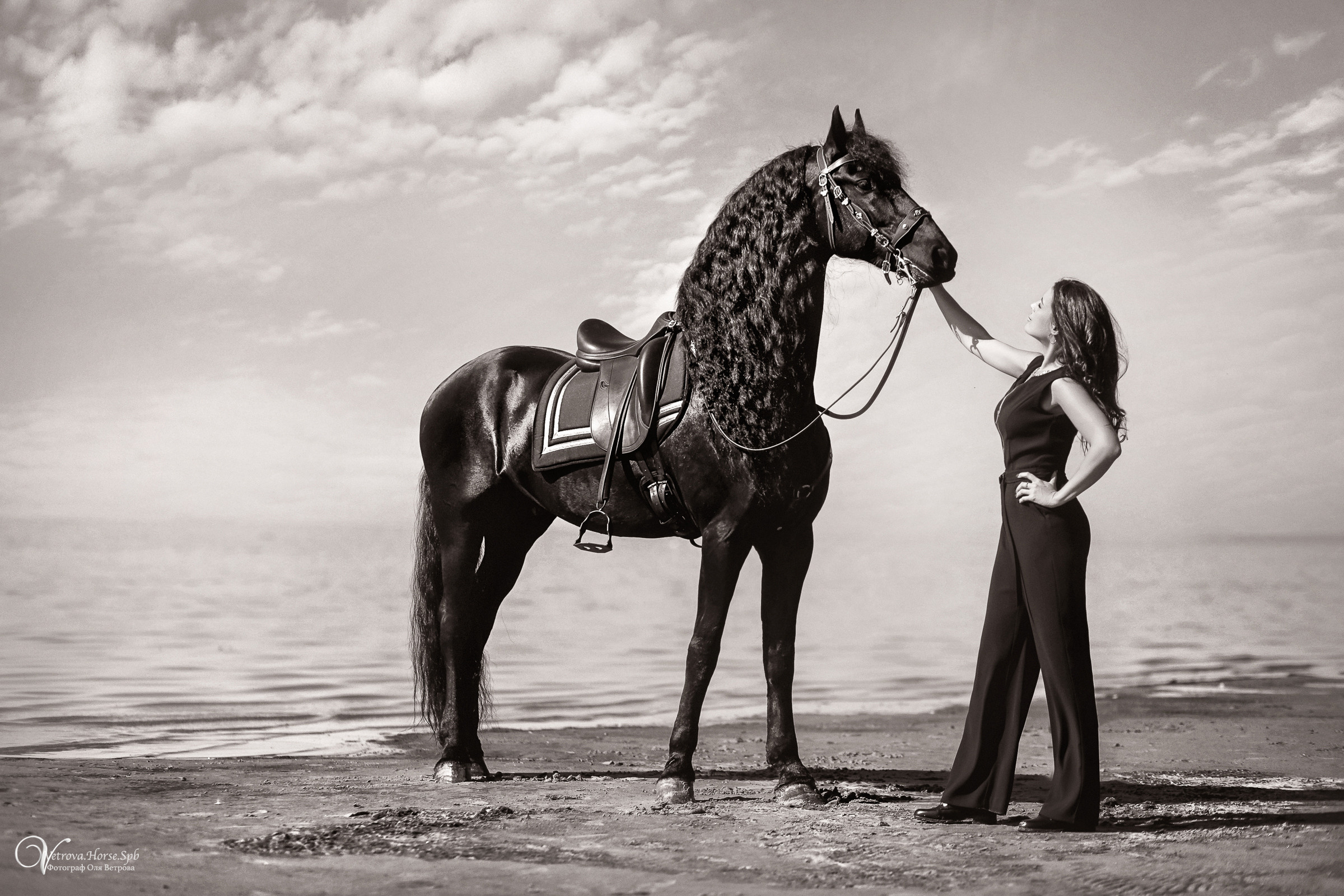 Фотосессия с фризом в СПБ. Фотограф женский и мужской портрет Санкт-Петербург