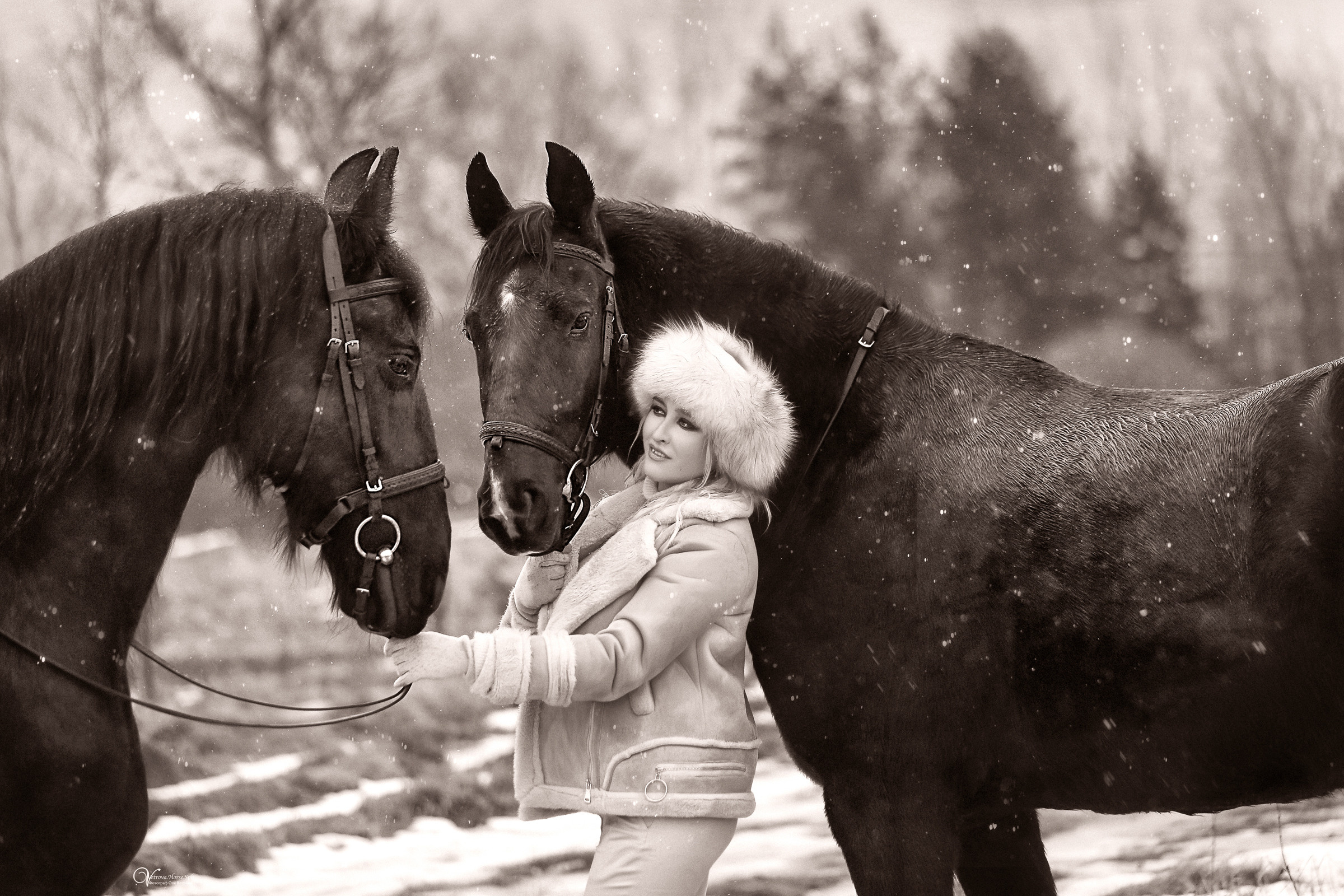 Зимняя фотосессия с двумя лошадьми. Фотограф женский и мужской портрет Санкт-Петербург