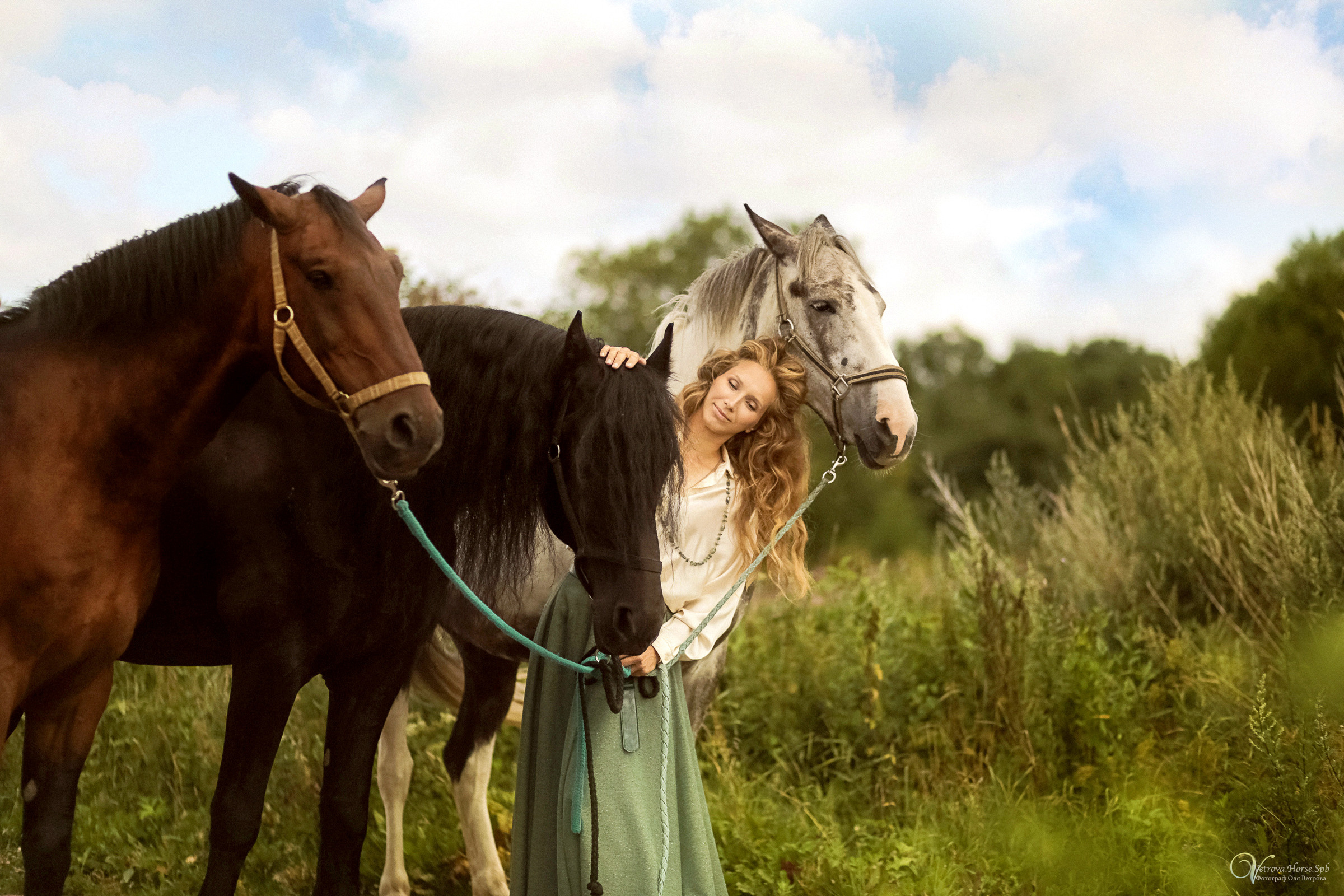 Съемка с тремя лошадьми в поле. Фотограф женский и мужской портрет Санкт-Петербург