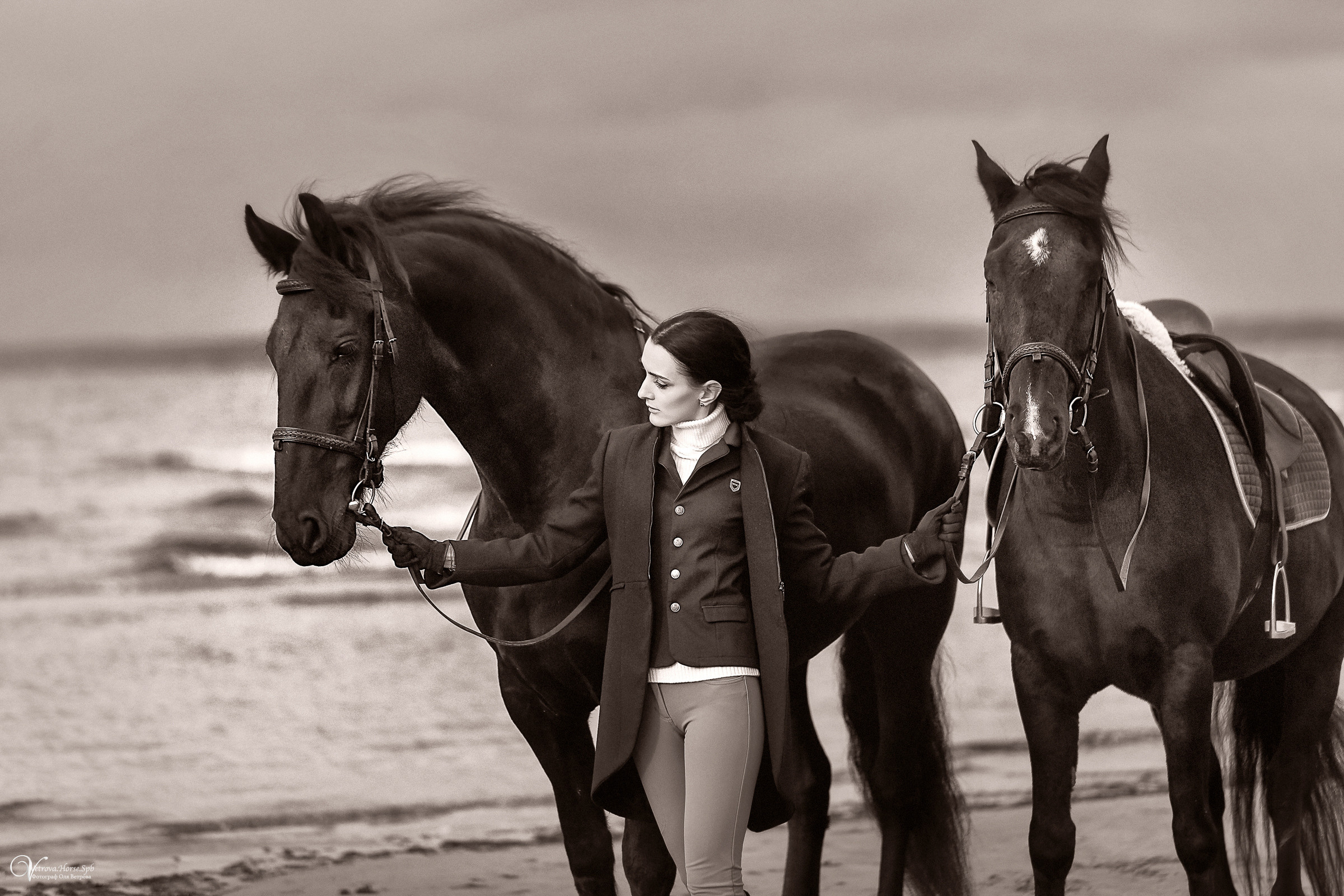 Два коня на заливе. Фотограф женский и мужской портрет Санкт-Петербург