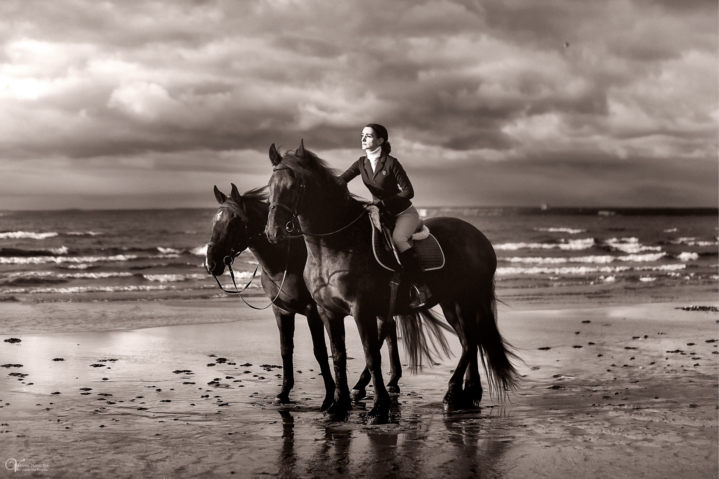 Два коня на заливе. Фотограф женский и мужской портрет Санкт-Петербург