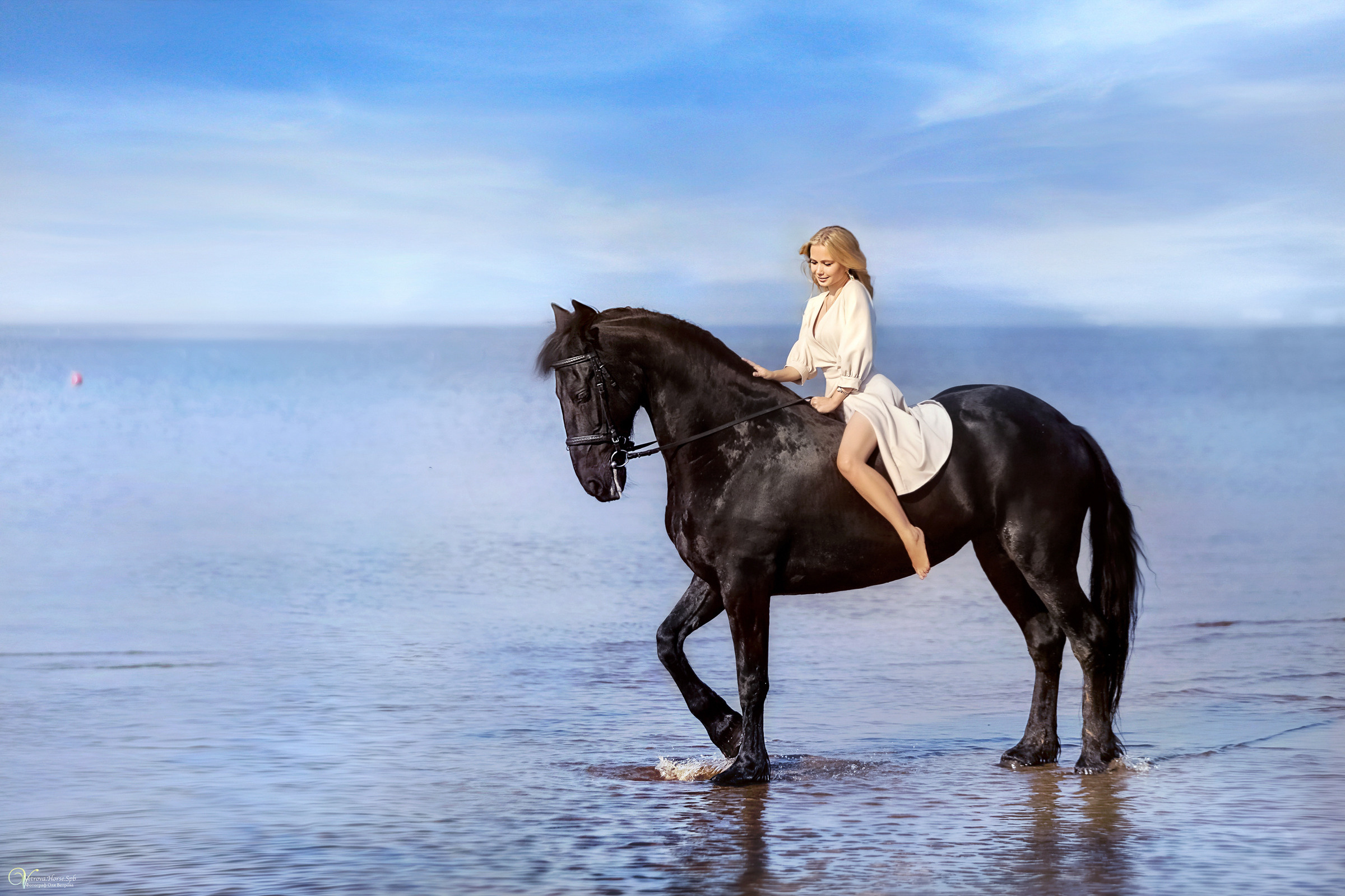 Фотосессия с вороным конем в СПб. Фотограф женский и мужской портрет Санкт-Петербург