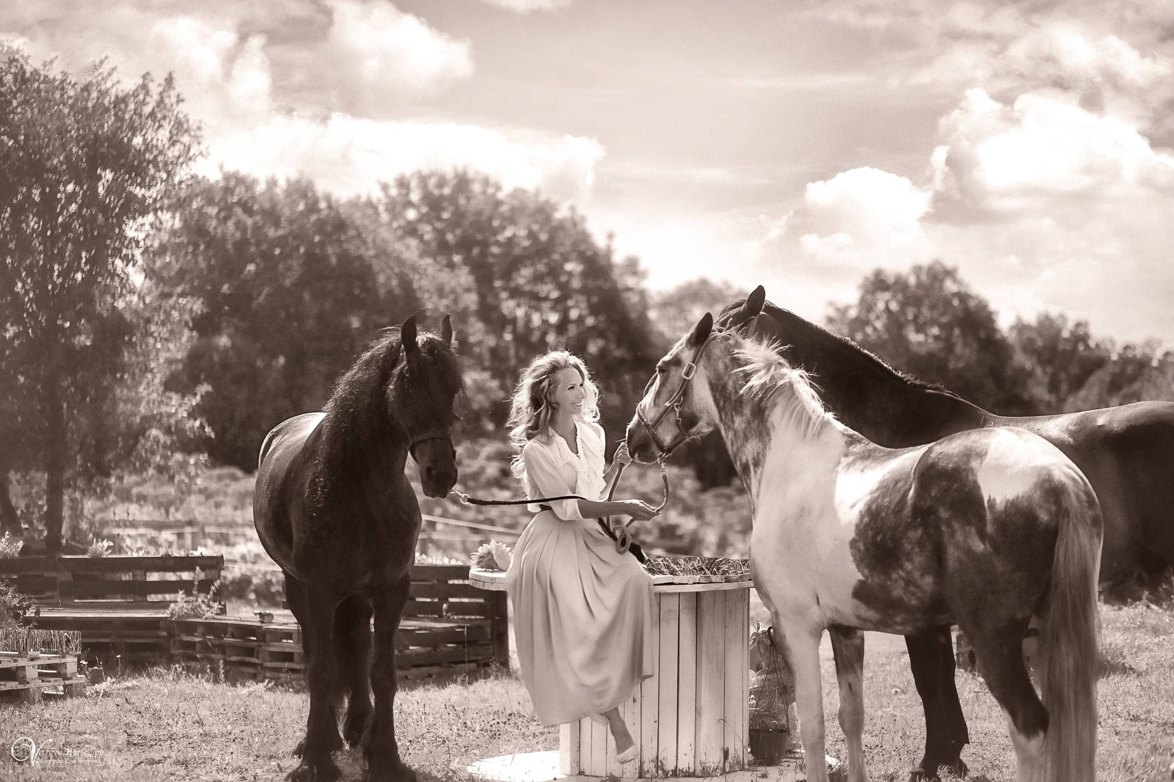 Фотосессия девушка и табун лошадей. Фотограф женский и мужской портрет Санкт-Петербург