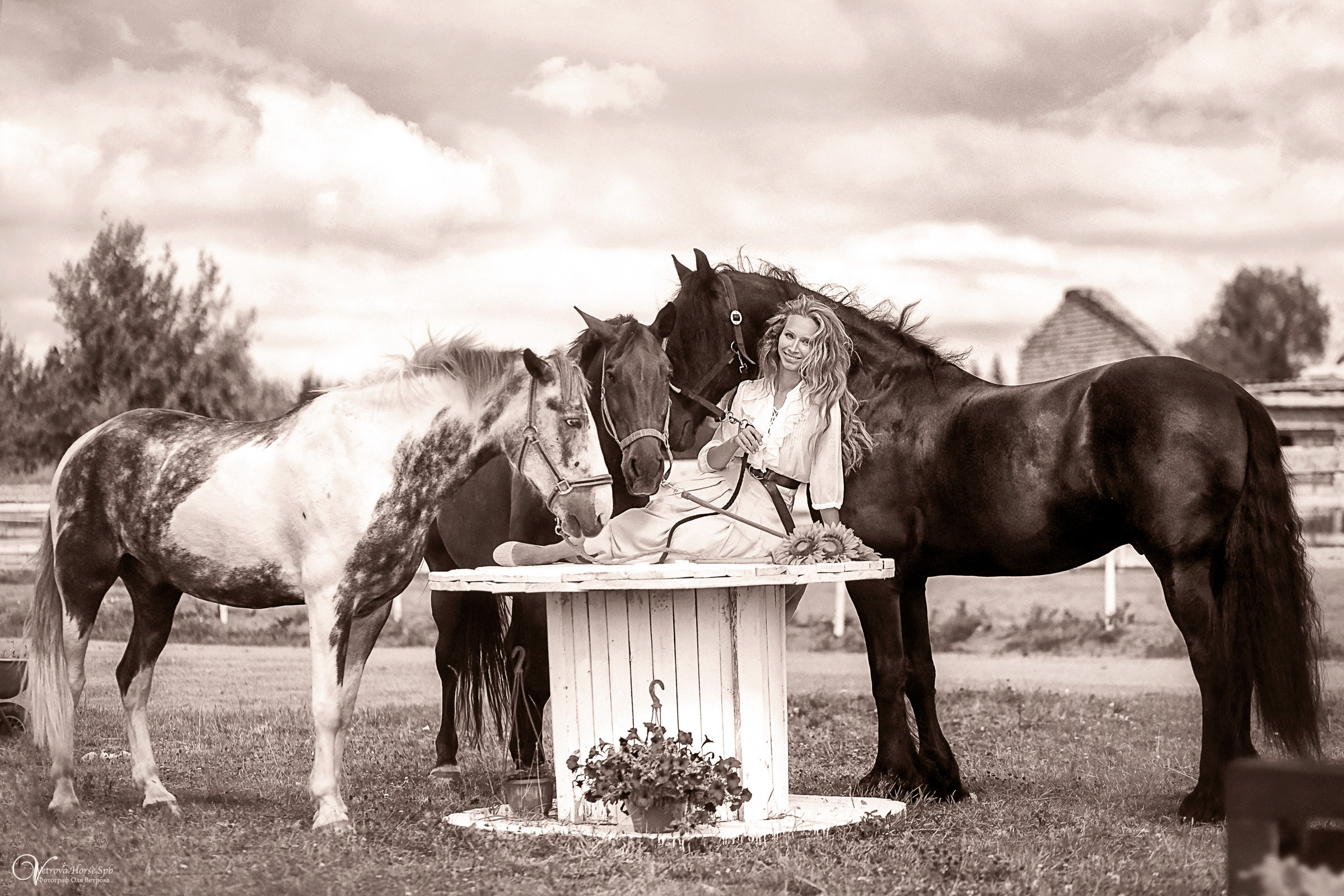 Фотосессия девушка и табун лошадей. Фотограф женский и мужской портрет Санкт-Петербург