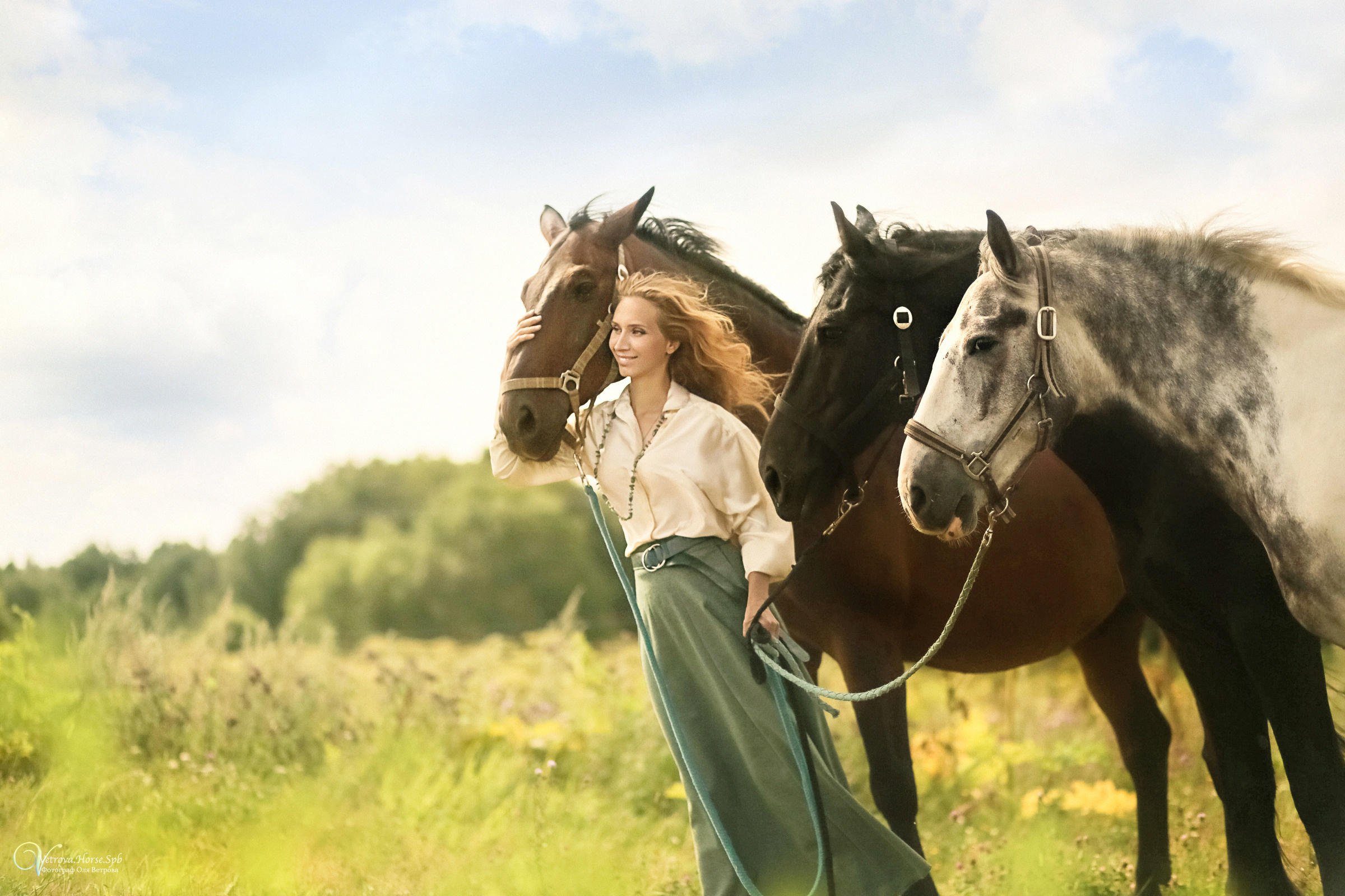 Съемка с тремя лошадьми в поле. Фотограф женский и мужской портрет Санкт-Петербург