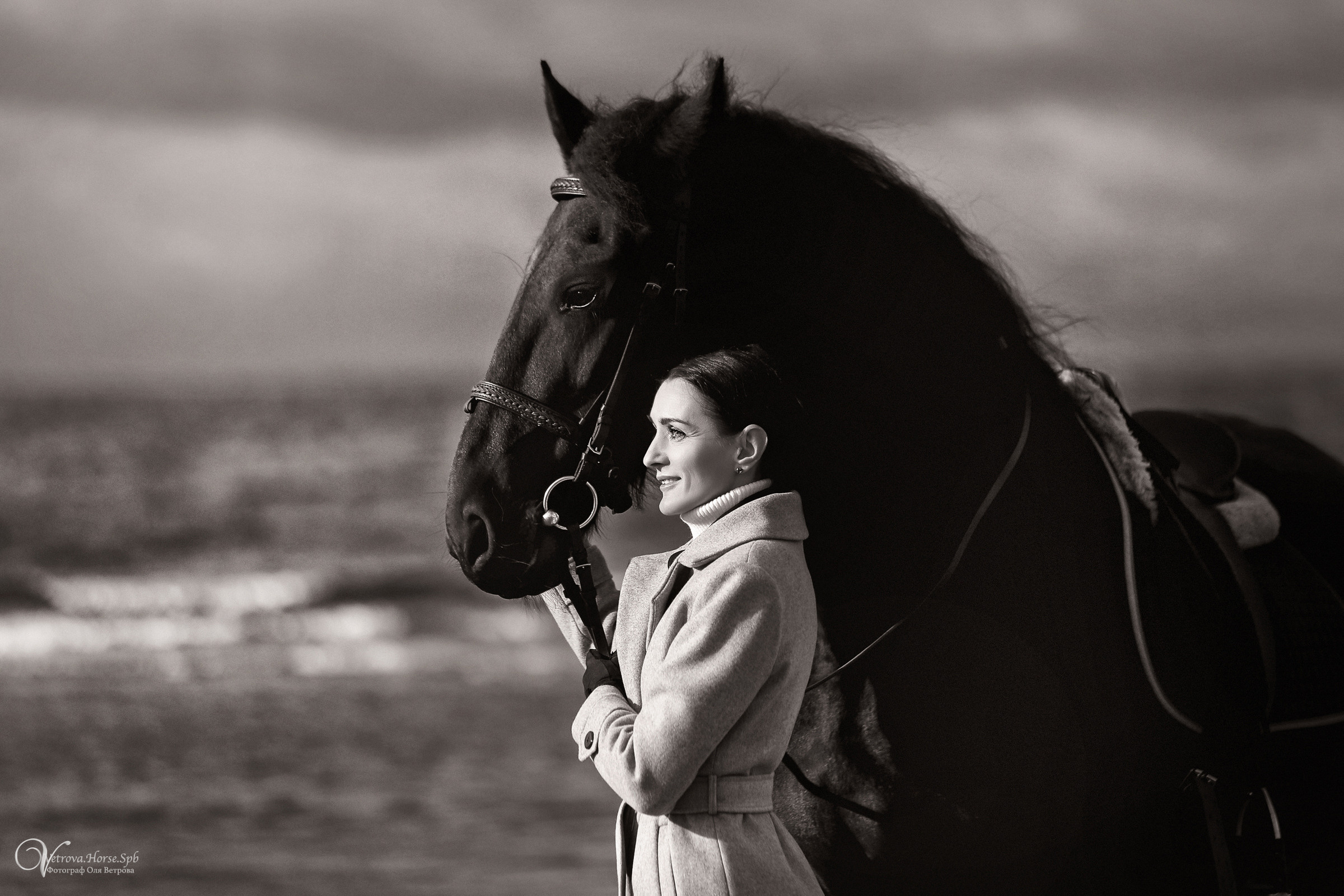Залив  и лошади. Фотограф женский и мужской портрет Санкт-Петербург