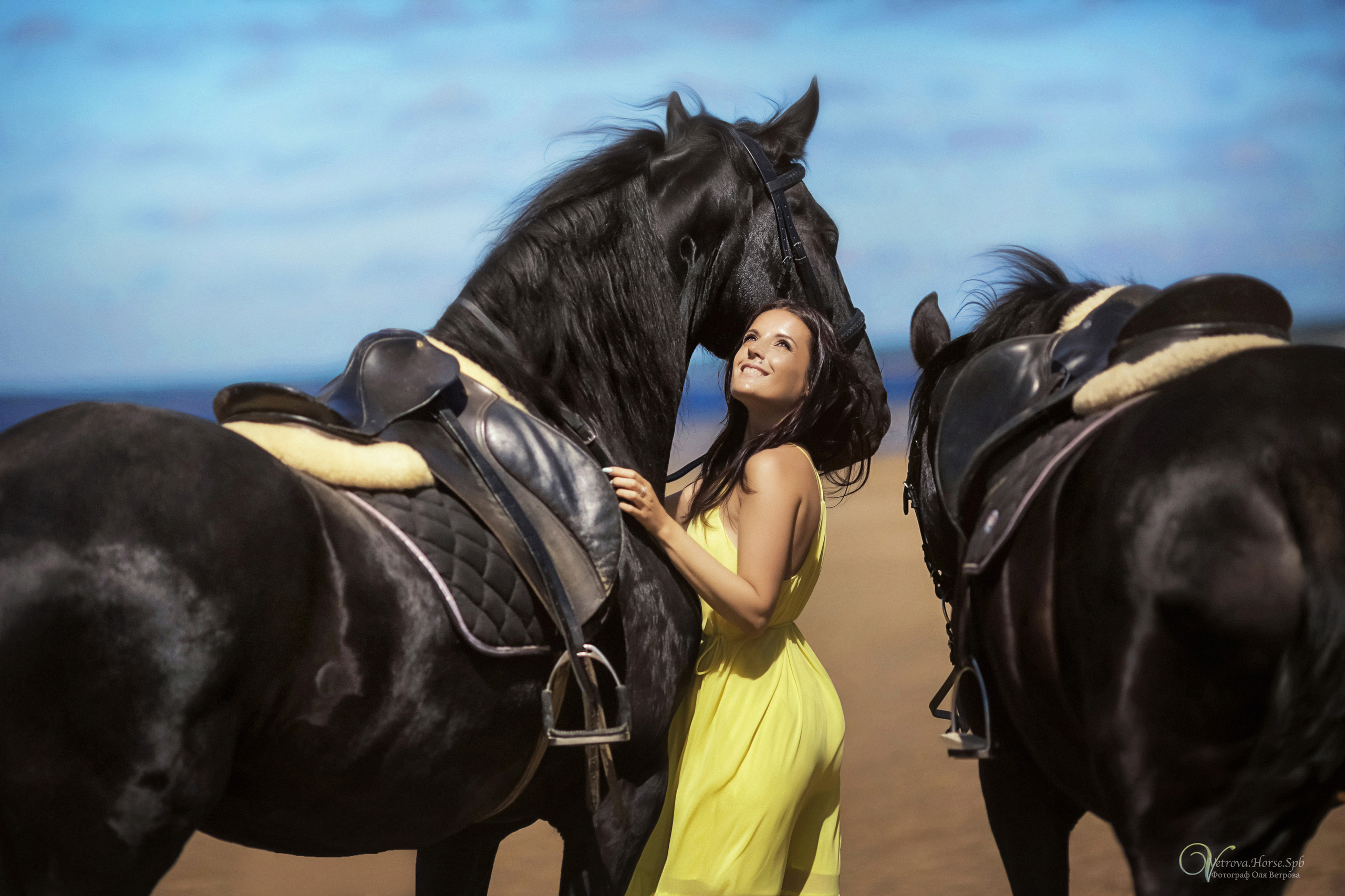 Фотосессия  с двумя конями в Санкт-Петербурге. Фотограф женский и мужской портрет Санкт-Петербург