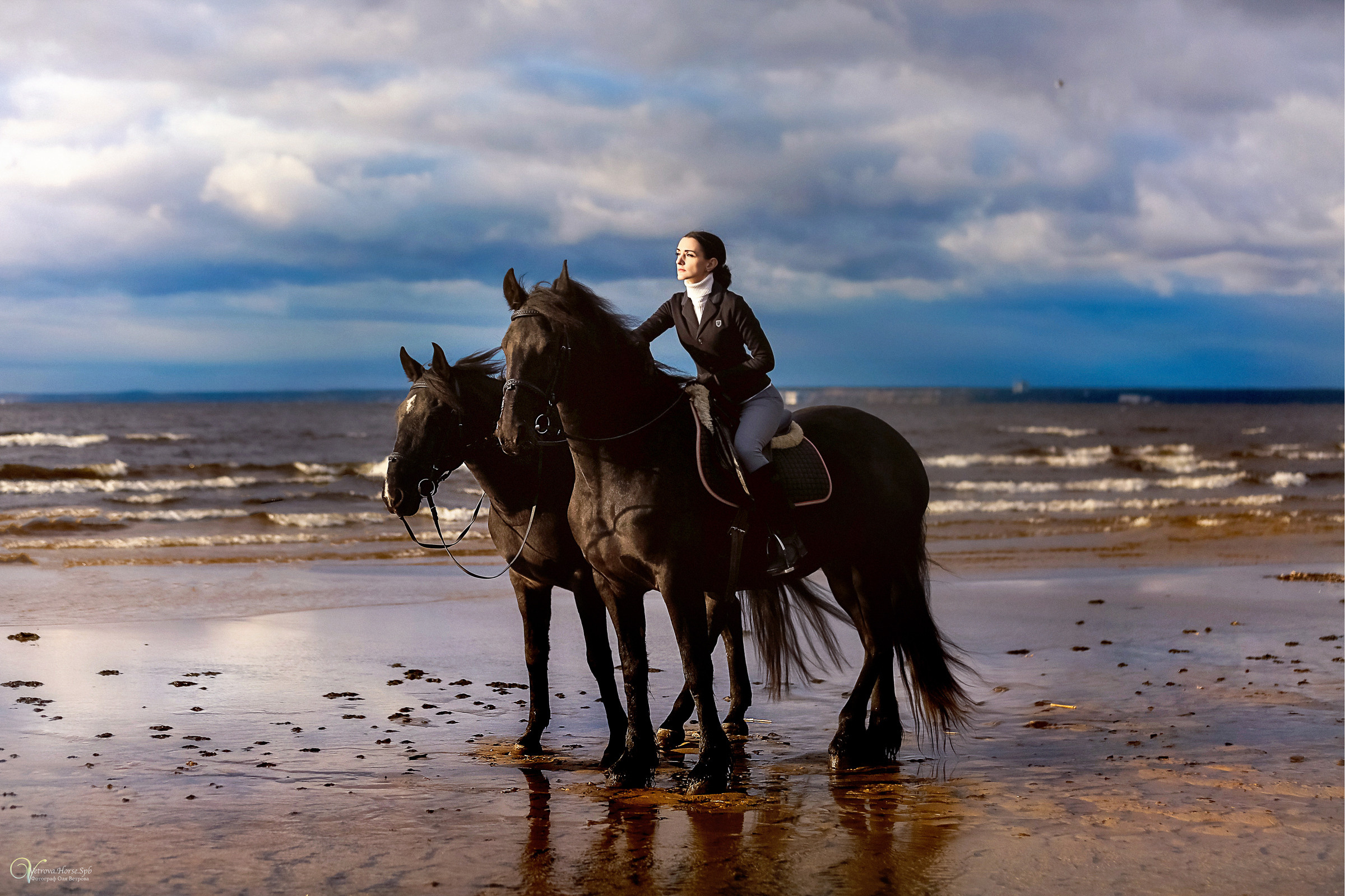 Два коня на заливе. Фотограф женский и мужской портрет Санкт-Петербург