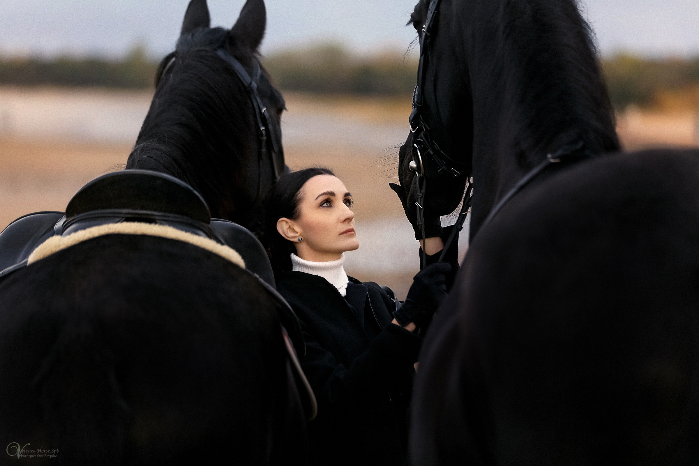 Два коня на заливе. Фотограф женский и мужской портрет Санкт-Петербург