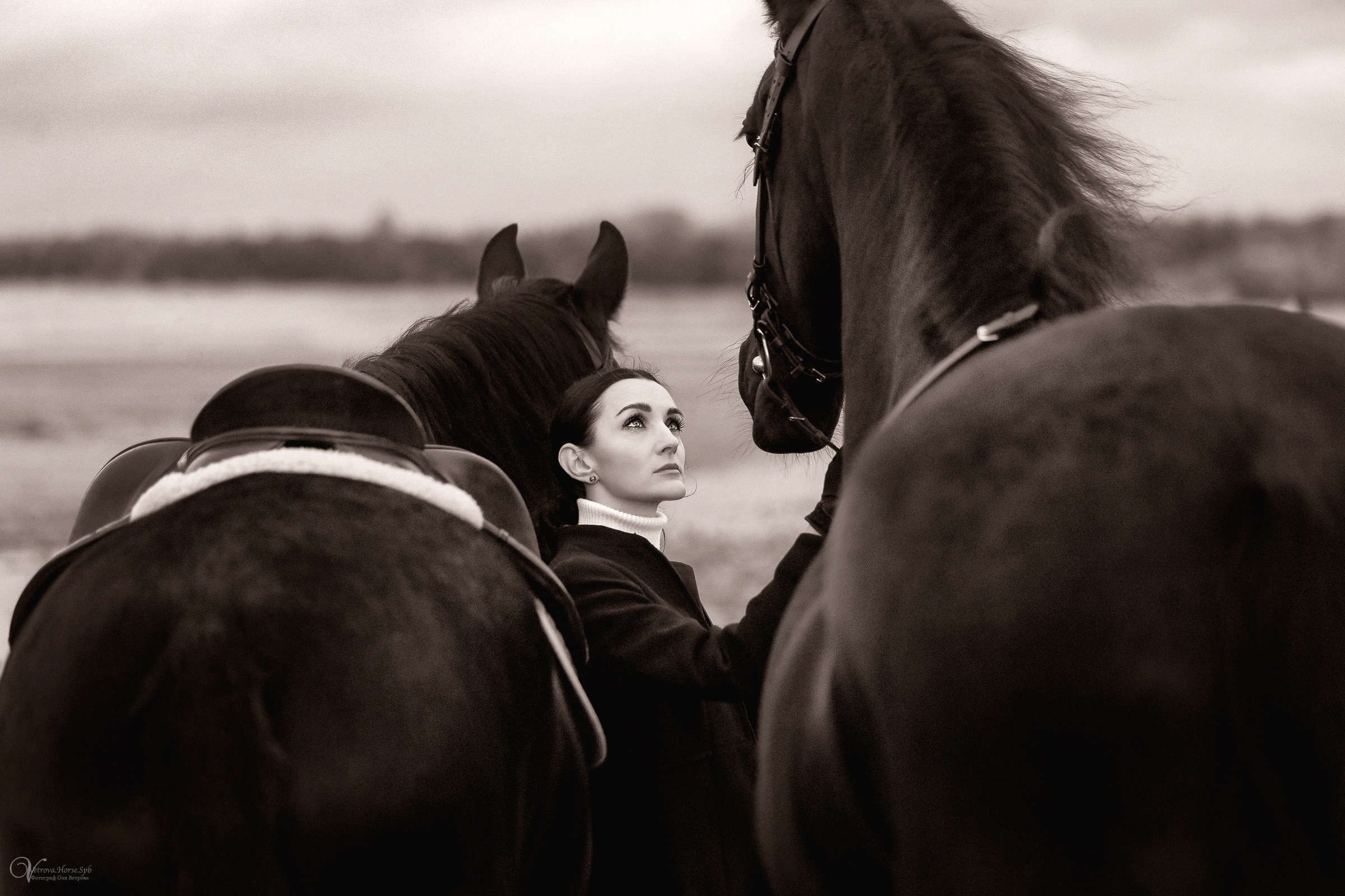 Два коня на заливе. Фотограф женский и мужской портрет Санкт-Петербург