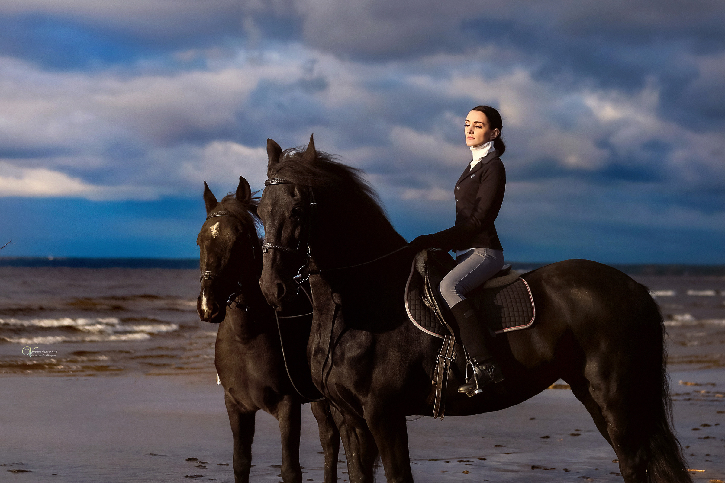 Два коня на заливе. Фотограф женский и мужской портрет Санкт-Петербург