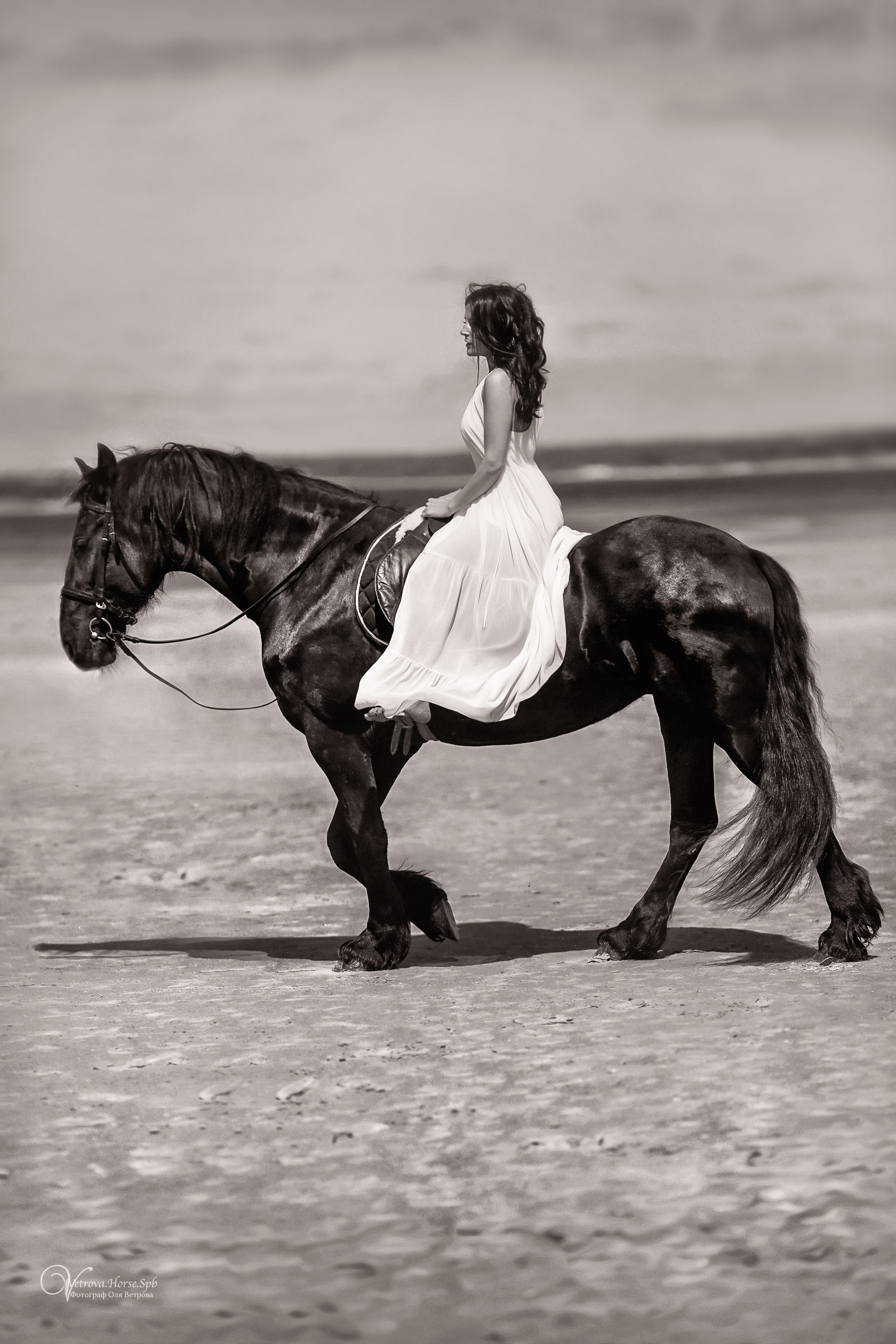 Фотосессия  с двумя конями в Санкт-Петербурге. Фотограф женский и мужской портрет Санкт-Петербург