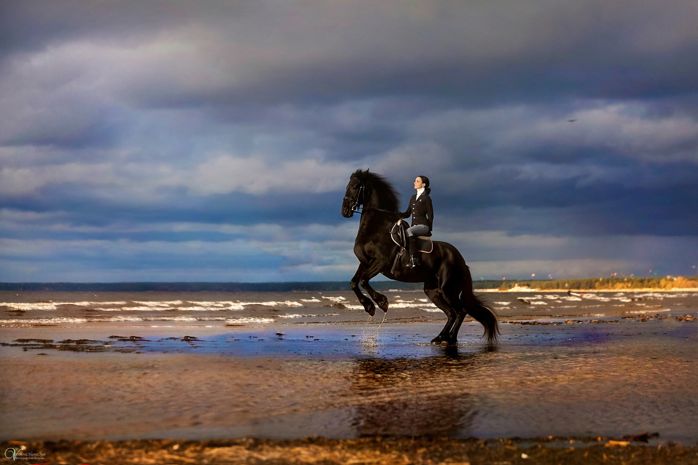 Фотосессия на заливе в двумя лошадьми СПб. Фотограф женский и мужской портрет Санкт-Петербург