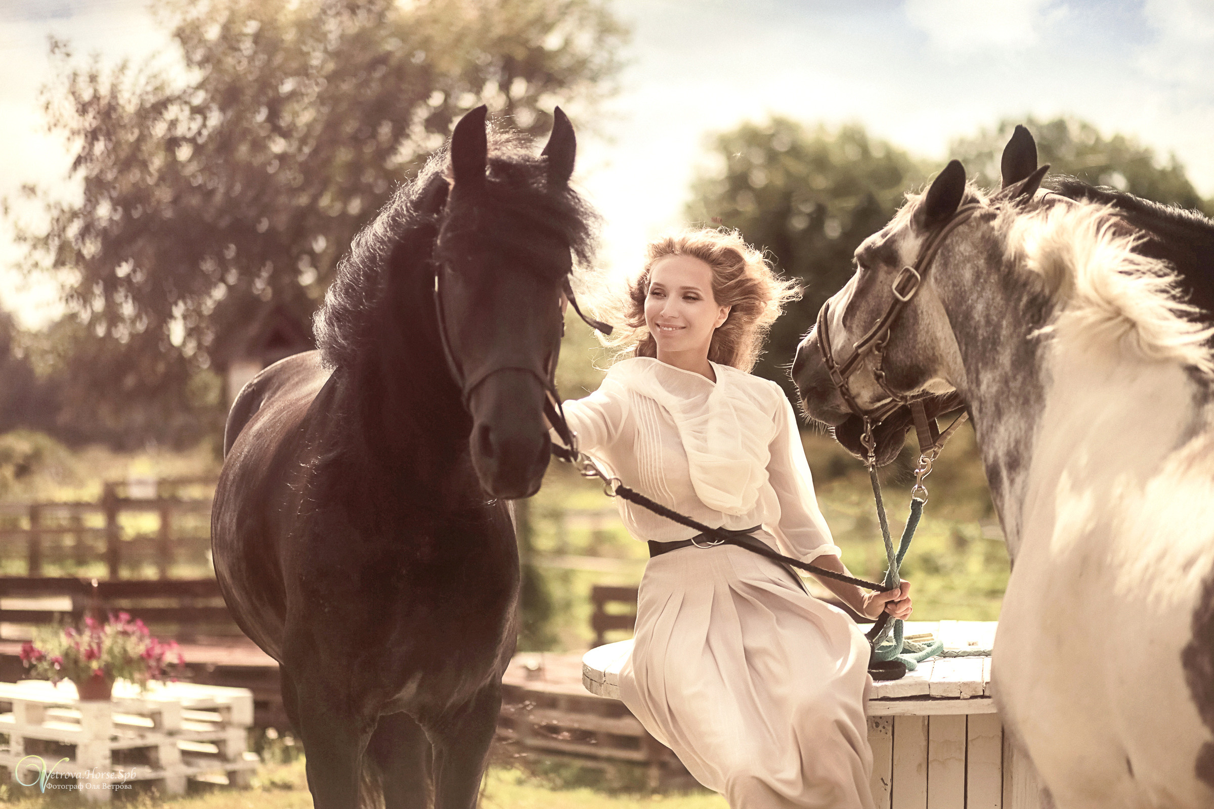 Фотосессия девушка и табун лошадей. Фотограф женский и мужской портрет Санкт-Петербург
