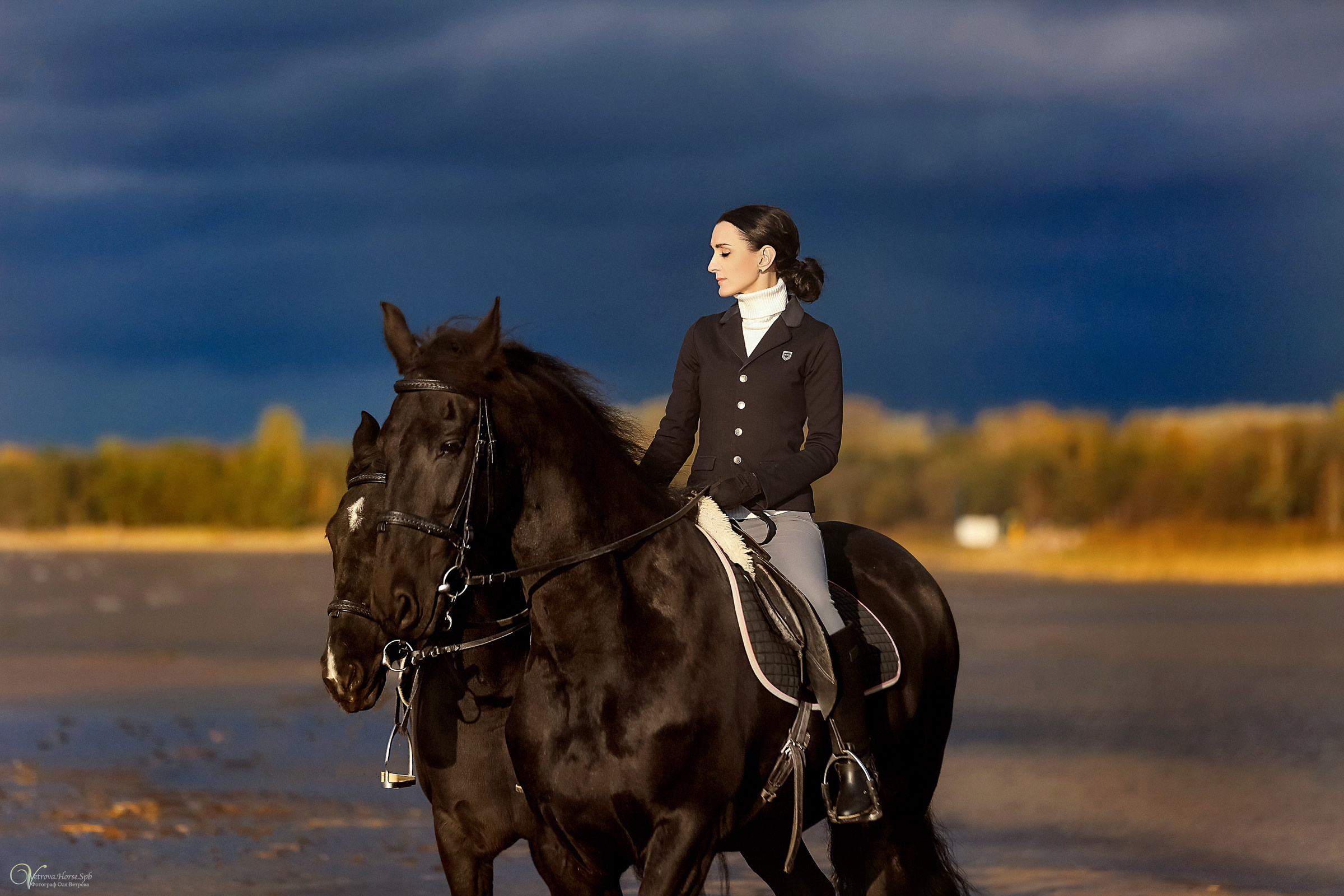 Два коня на заливе. Фотограф женский и мужской портрет Санкт-Петербург