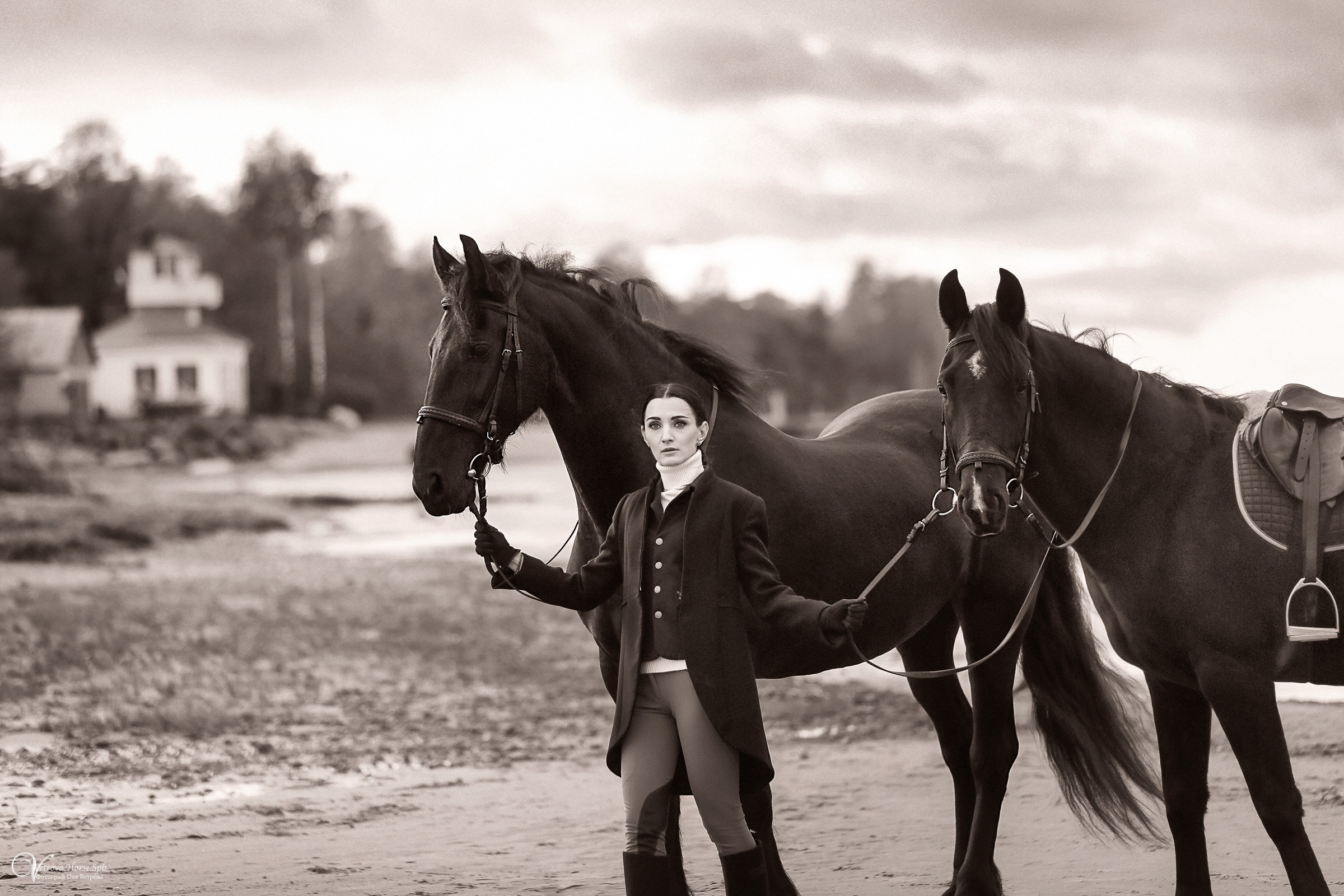 Два коня на заливе. Фотограф женский и мужской портрет Санкт-Петербург