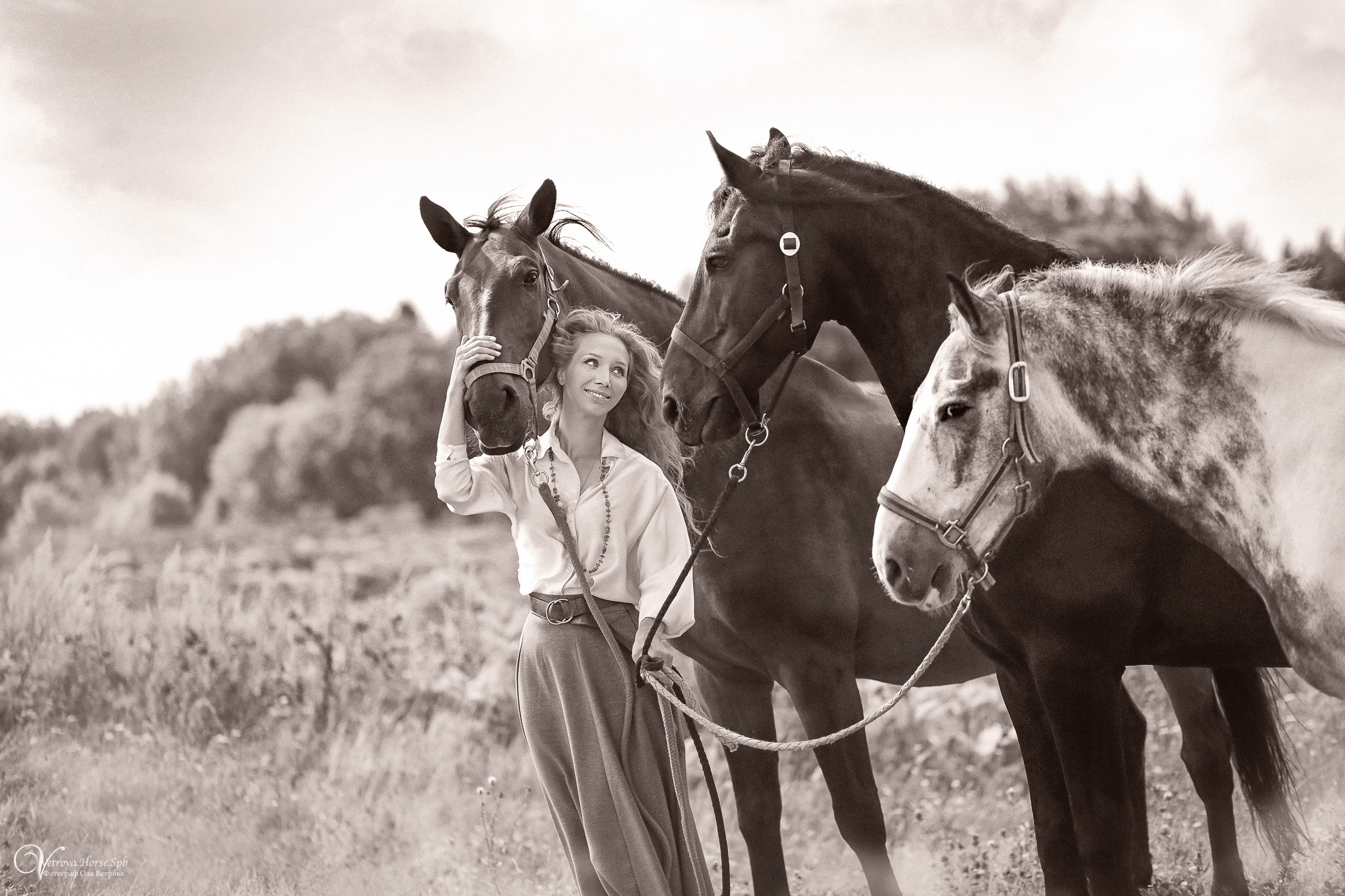 Съемка с тремя лошадьми в поле. Фотограф женский и мужской портрет Санкт-Петербург