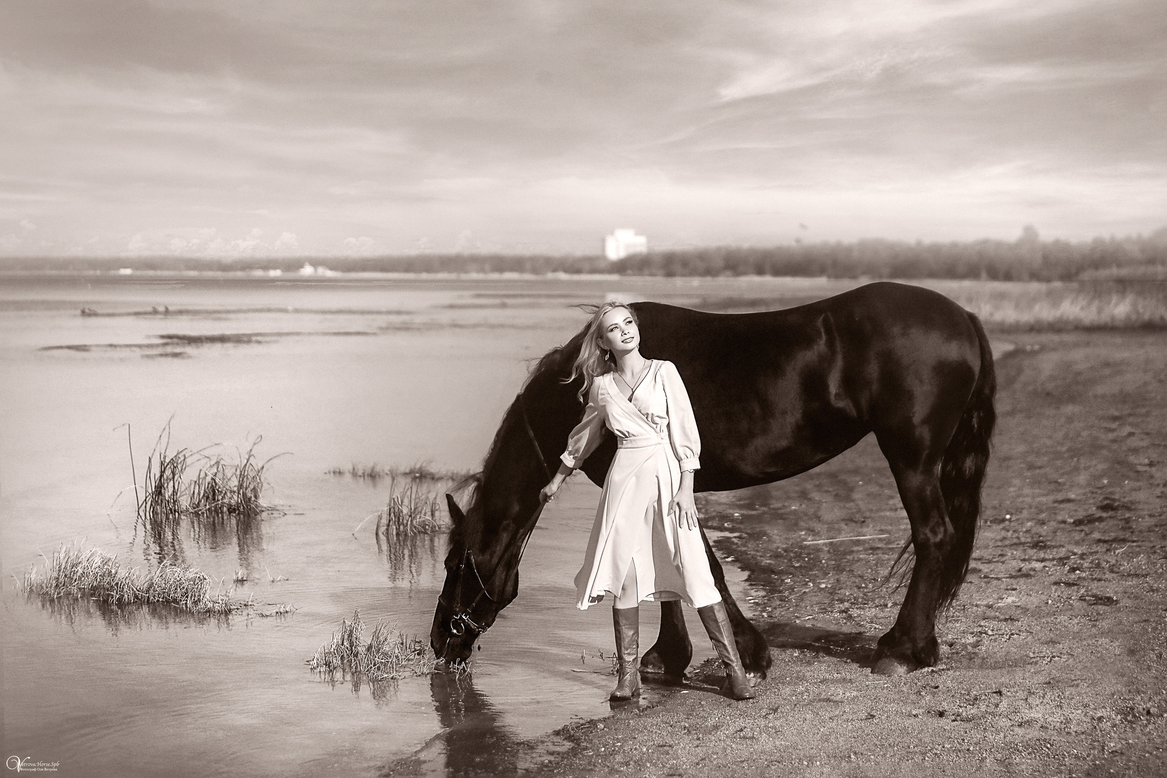 Фотосессия с вороным конем в СПб. Фотограф женский и мужской портрет Санкт-Петербург