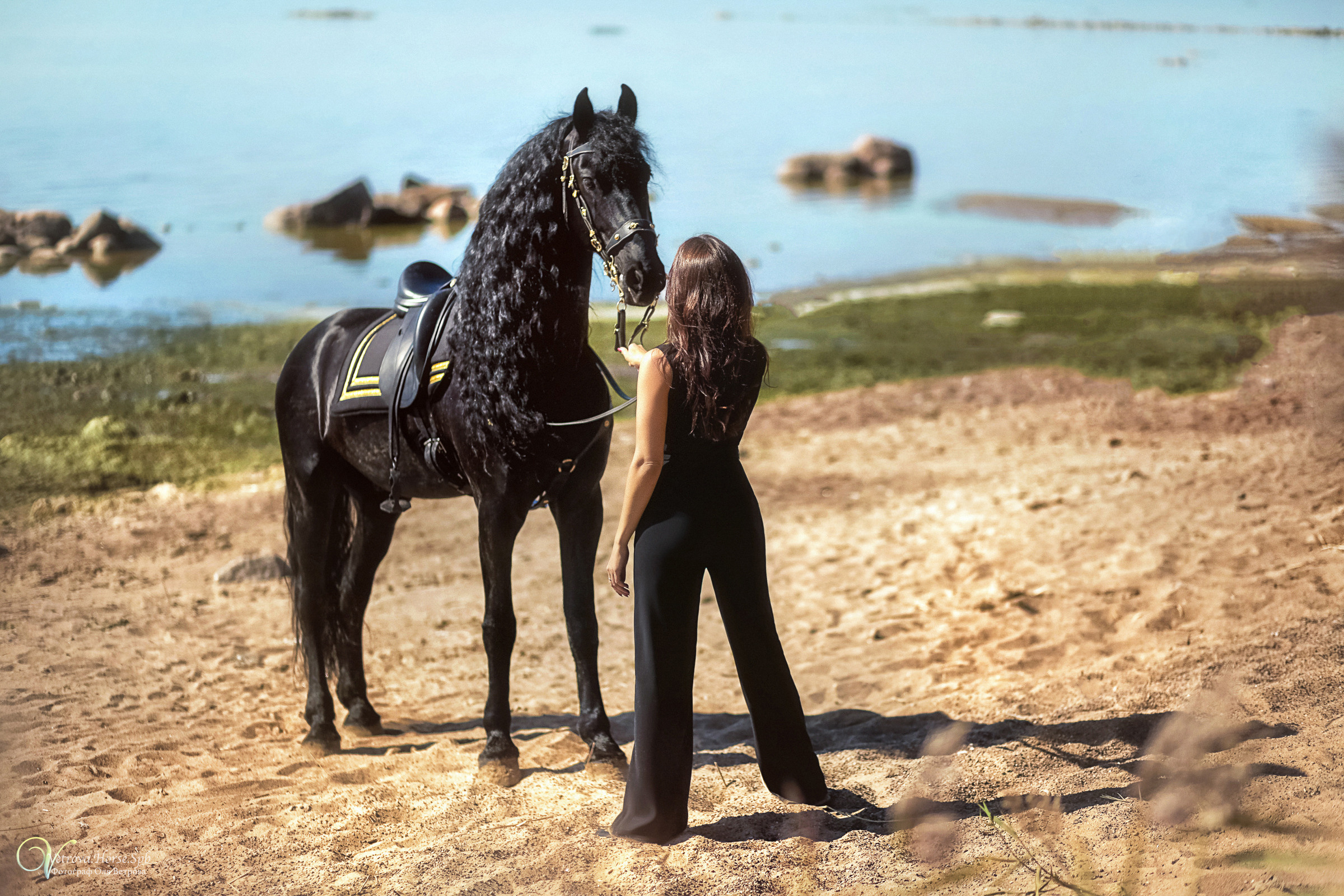 Фотосессия с фризом в СПБ. Фотограф женский и мужской портрет Санкт-Петербург