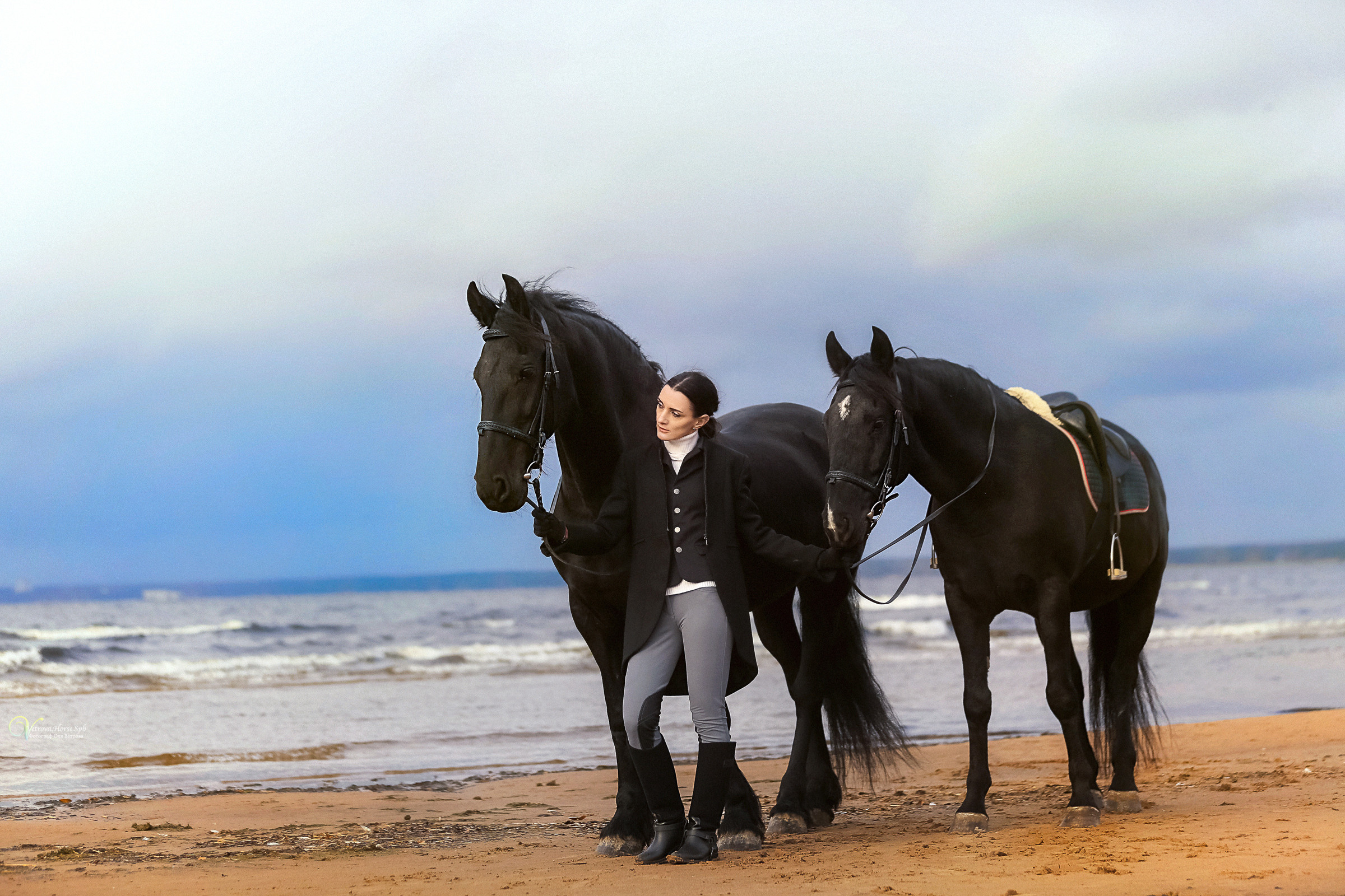 Два коня на заливе. Фотограф женский и мужской портрет Санкт-Петербург