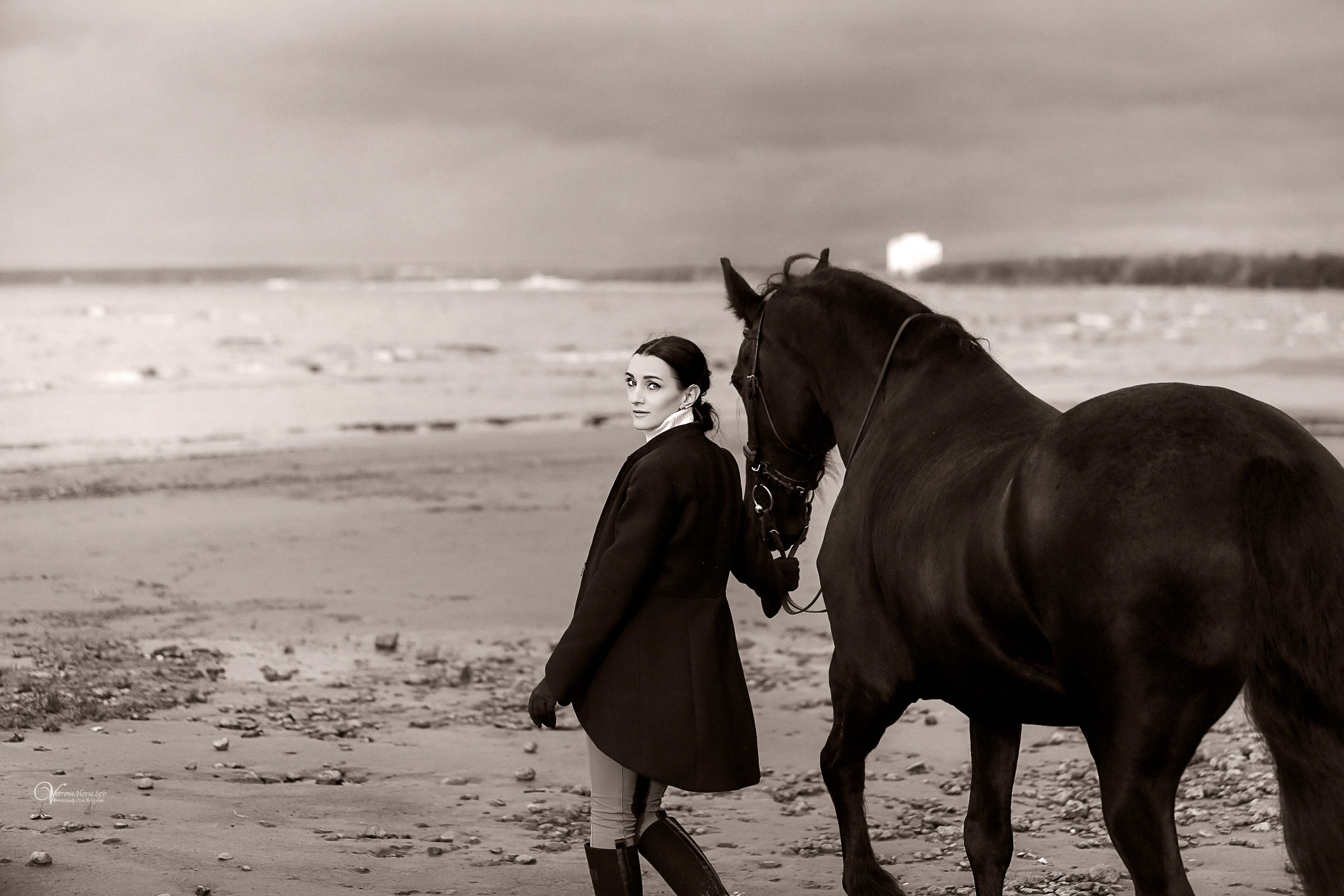 Осенняя съемка с лошадью В СПБ. Фотограф женский и мужской портрет Санкт-Петербург