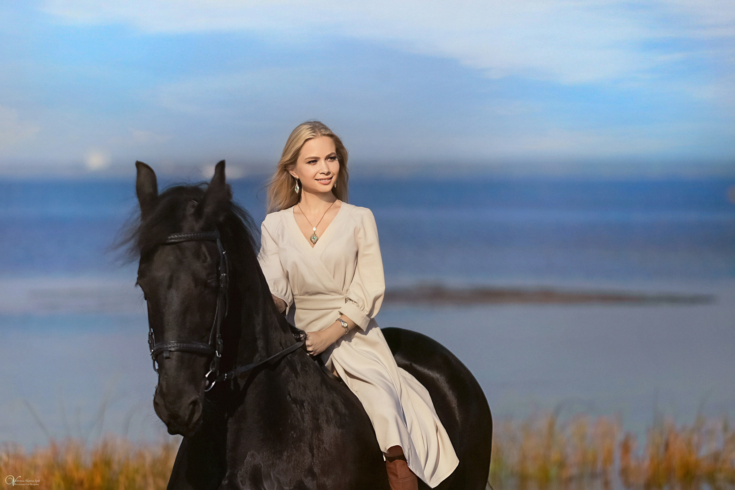 Фотосессия с вороным конем в СПб. Фотограф женский и мужской портрет Санкт-Петербург